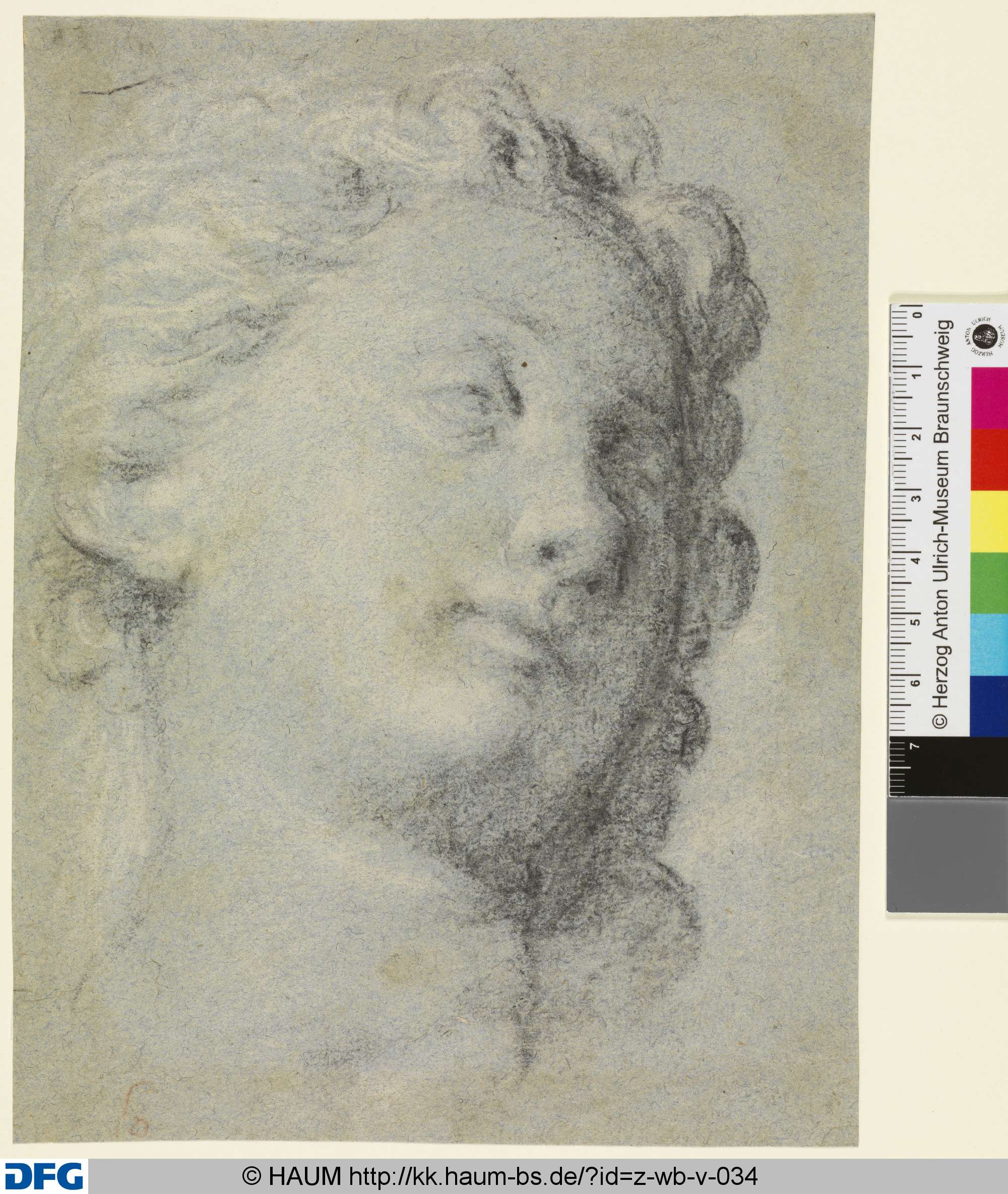 Kopfstudie, 16th century