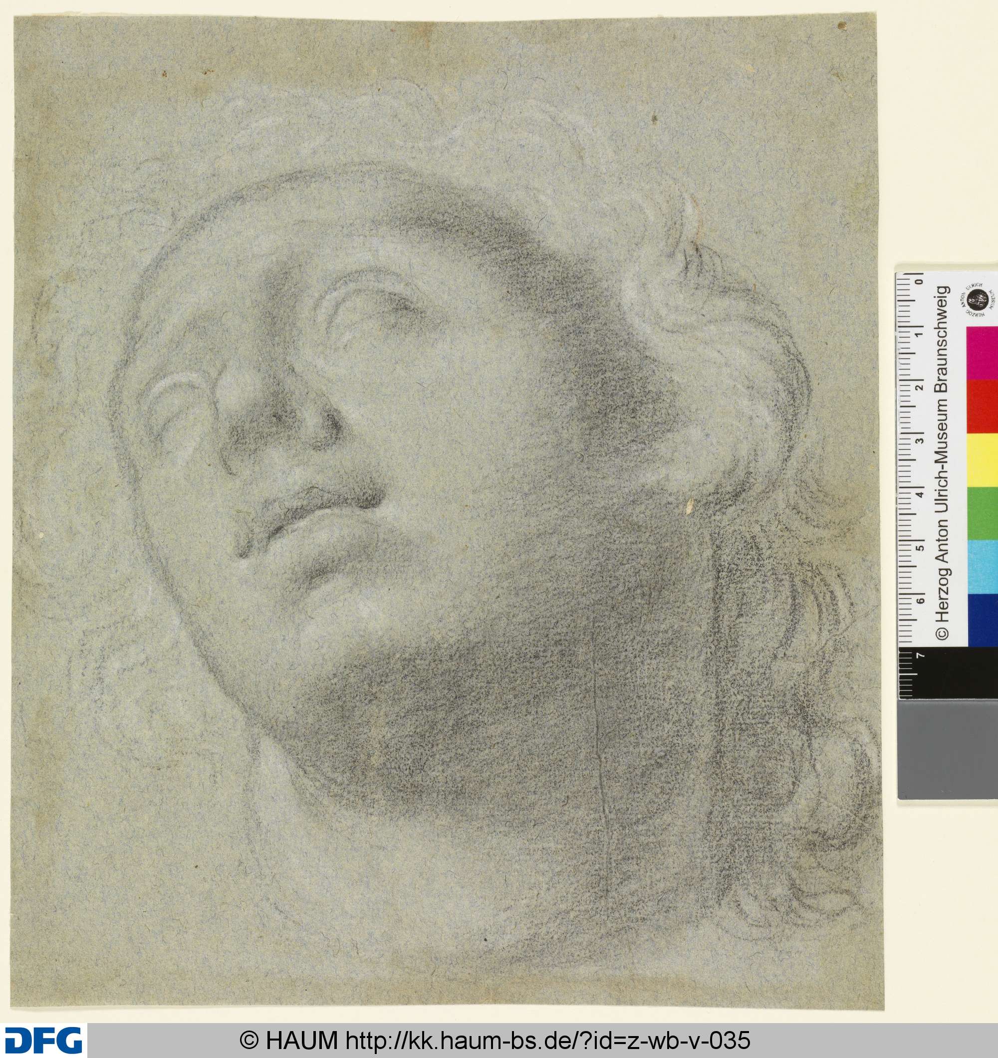 Kopfstudie, 16th century