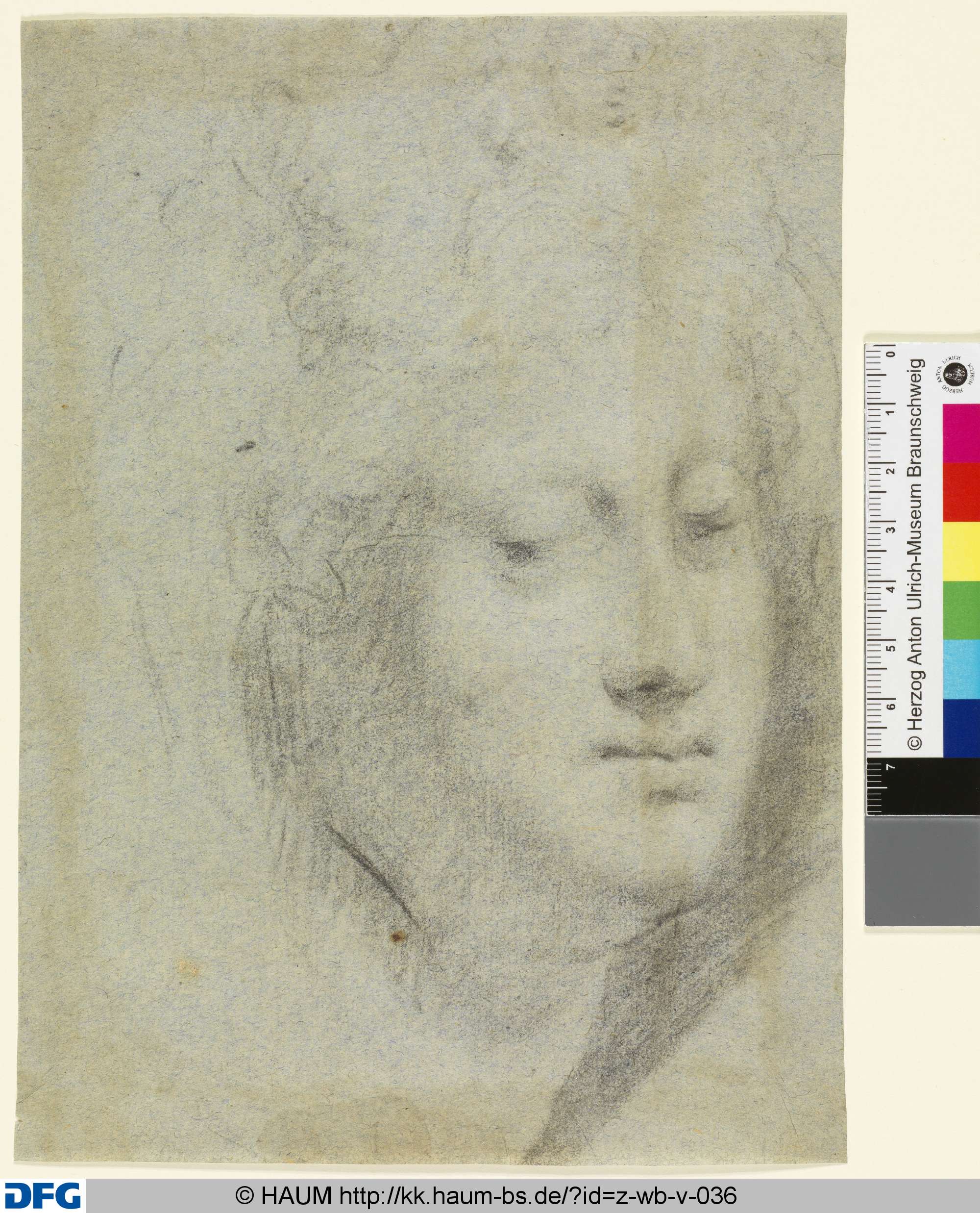 Kopfstudie, 16th century