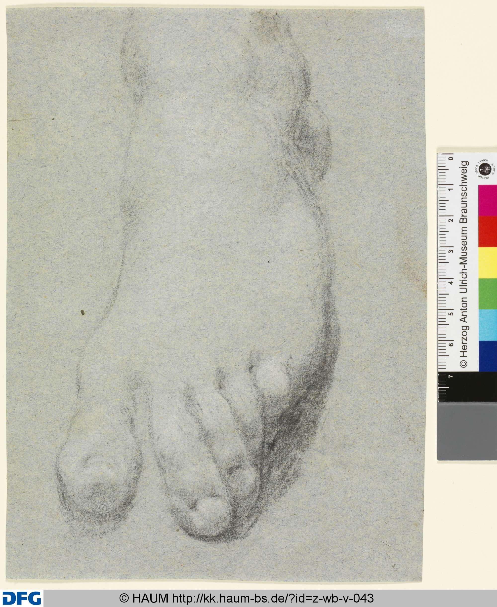 Fußstudie, 16th century