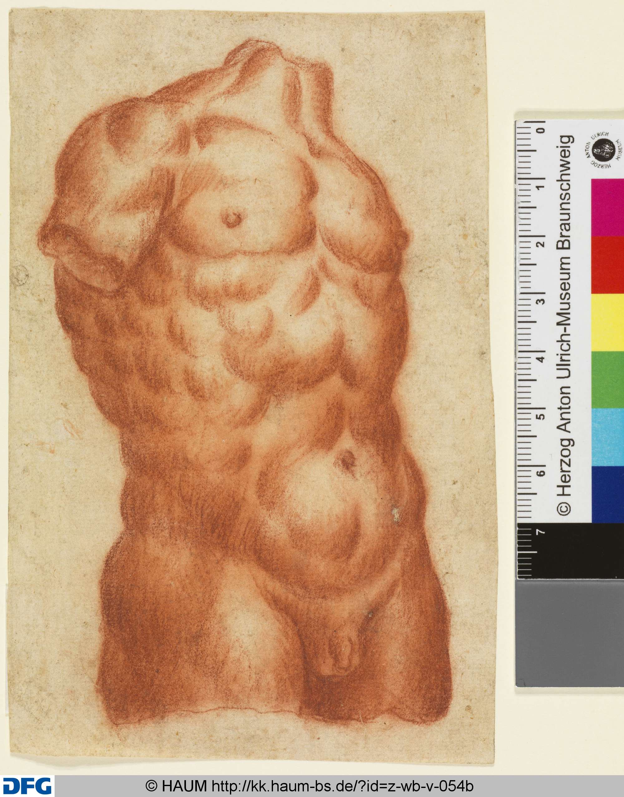 Torso (Studie nach Antikenmodell), 16th century