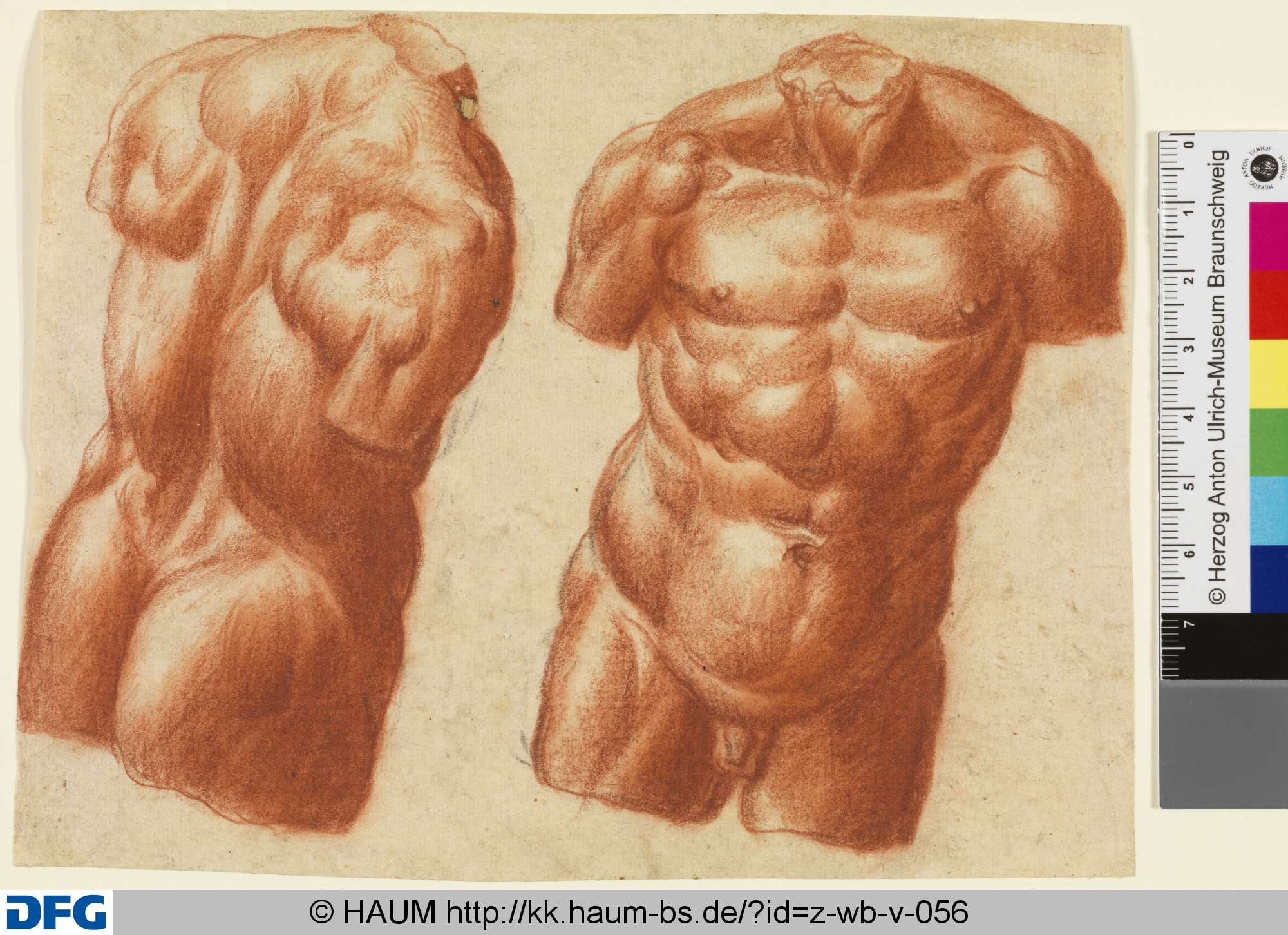 Torso (Studie nach Antikenmodell), 16th century