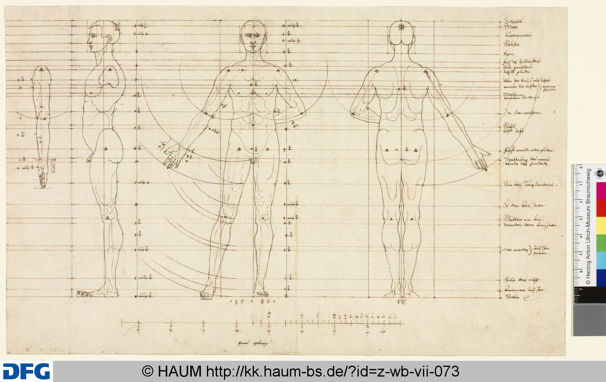 Proportionszeichnungen, Hans Hellwig, 1580