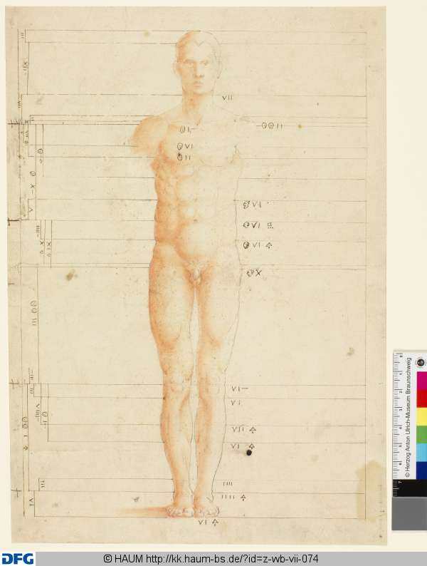 Proportionszeichnung, Albrecht Dürer, 16th century