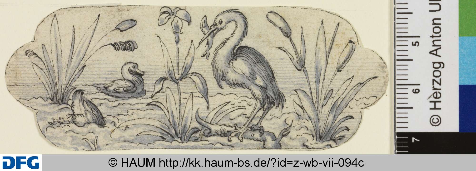 Seetiere, Jost Amman, 16th century