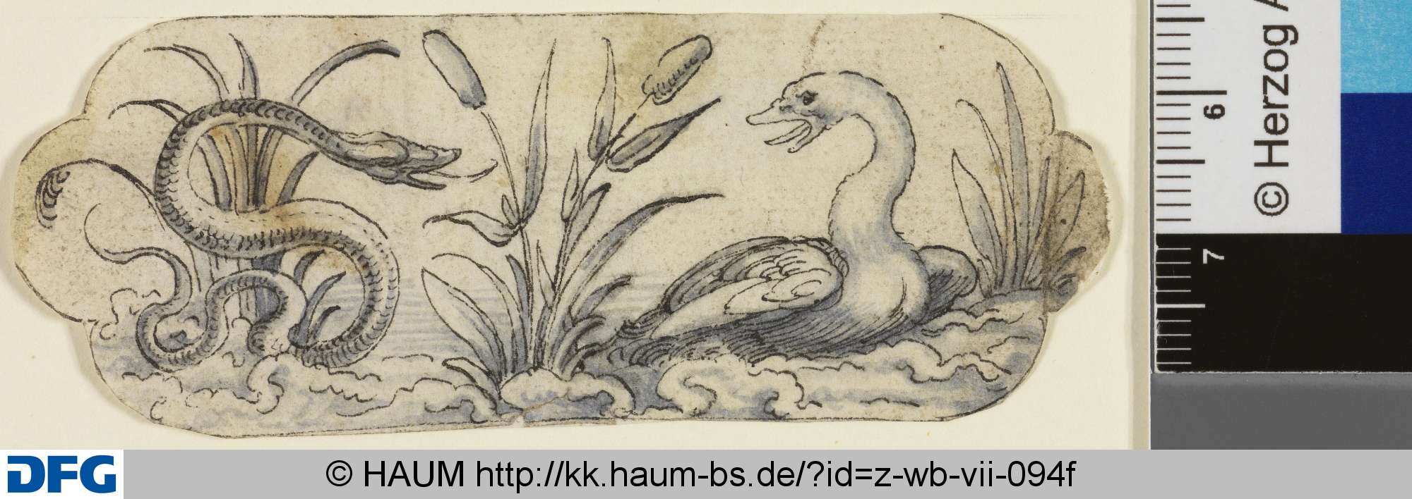 Seetiere, Jost Amman, 16th century