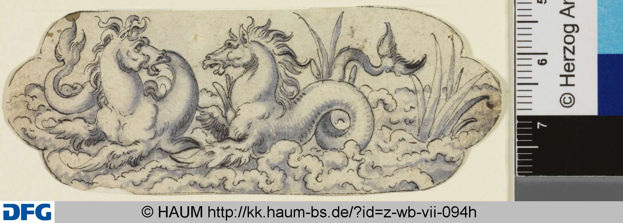Seetiere, 16th century