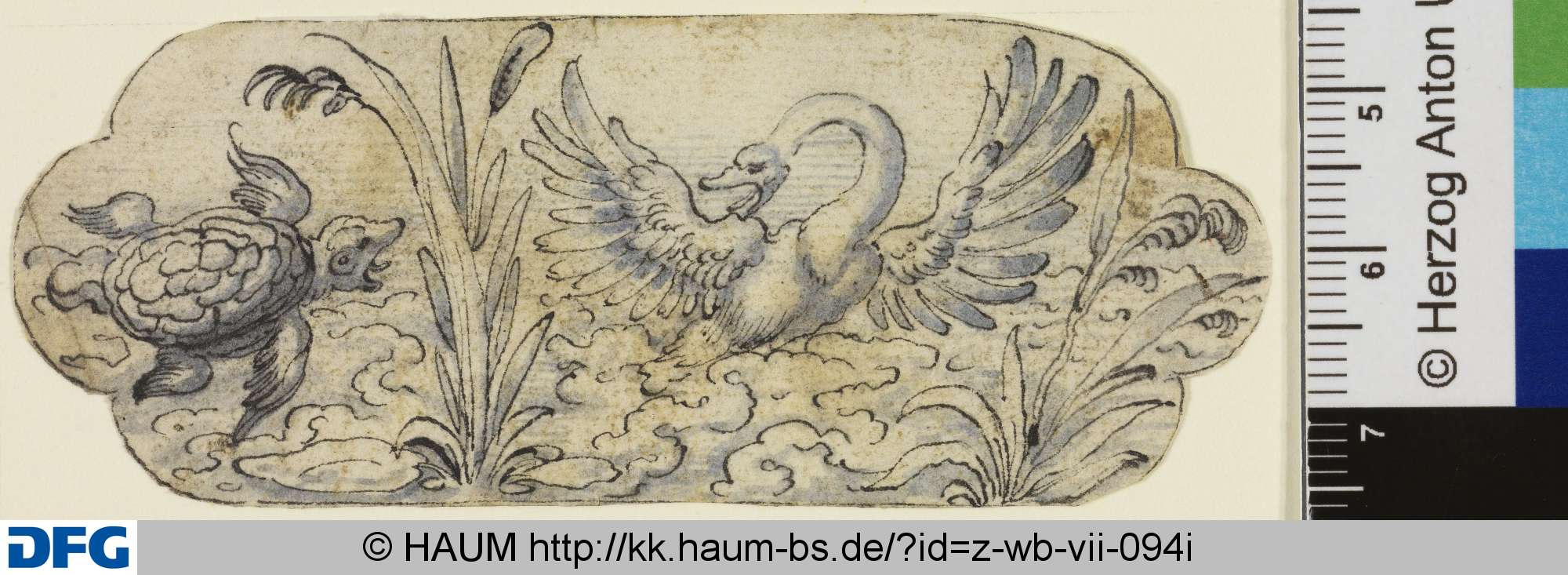 Seetiere, 16th century