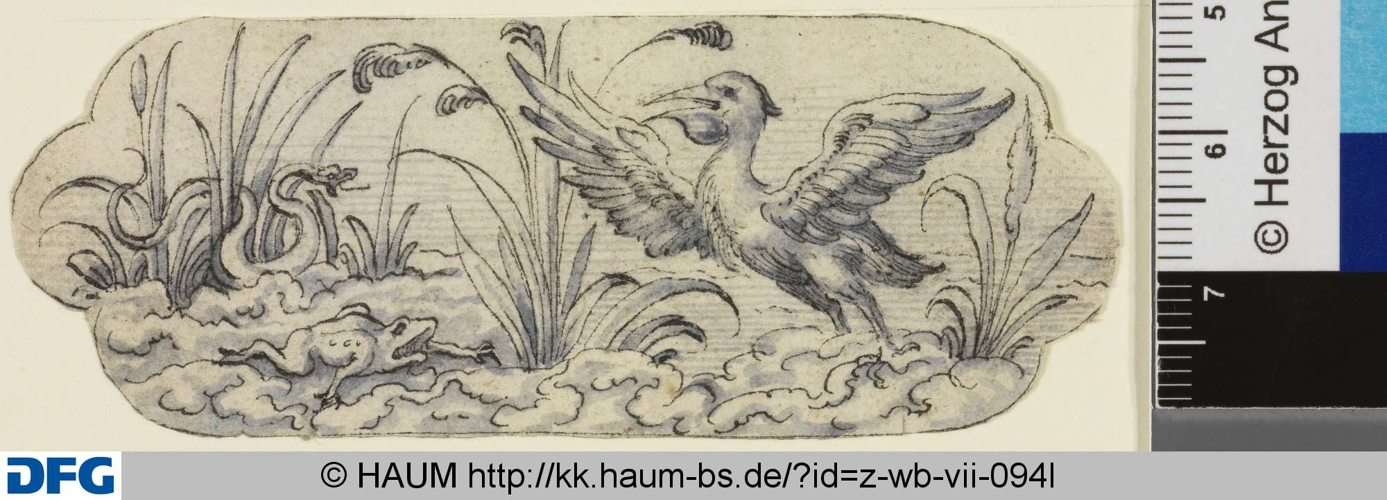 Seetiere, 16th century