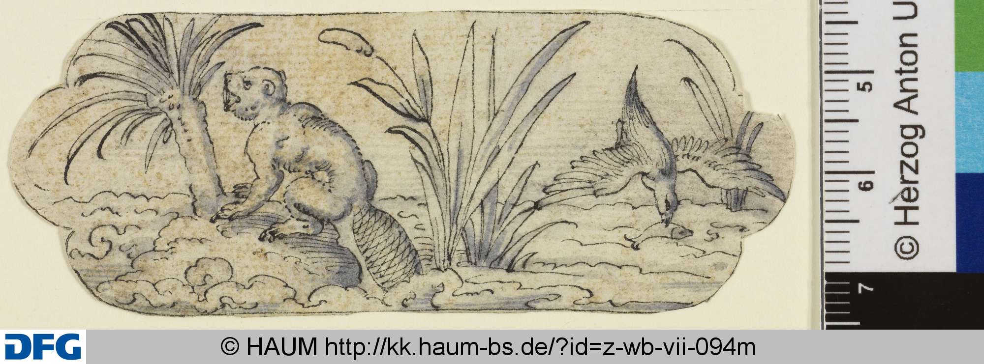 Seetiere, 16th century