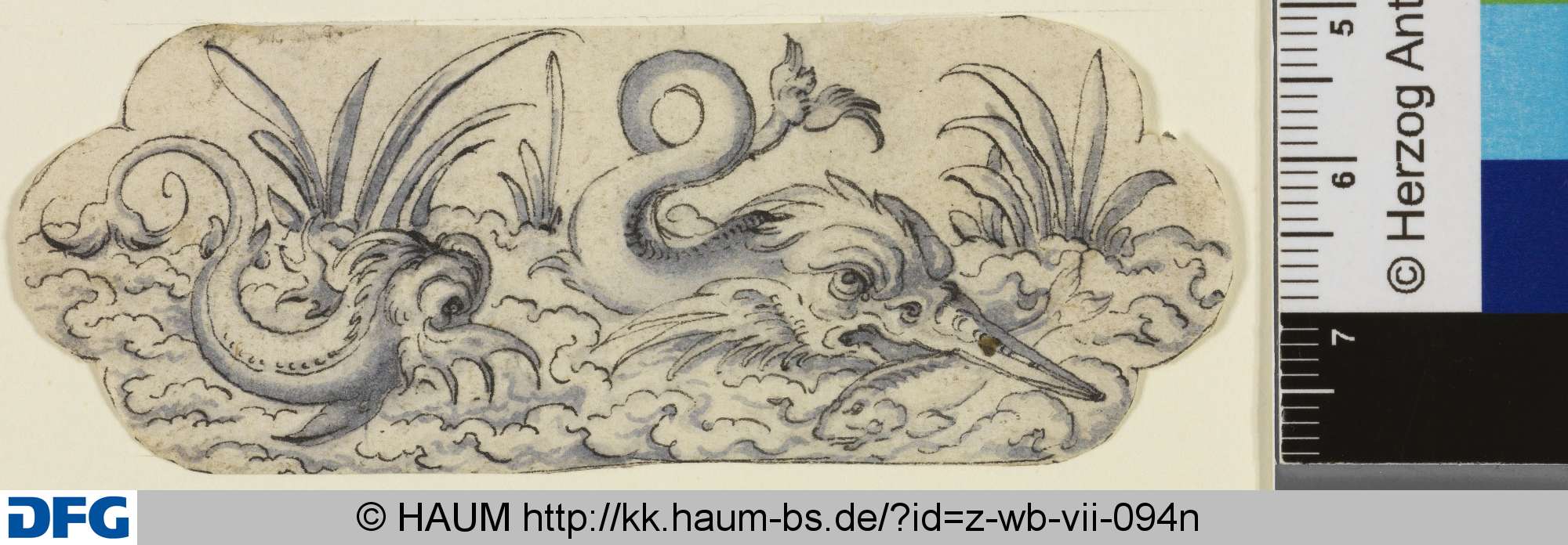 Seetiere, 16th century