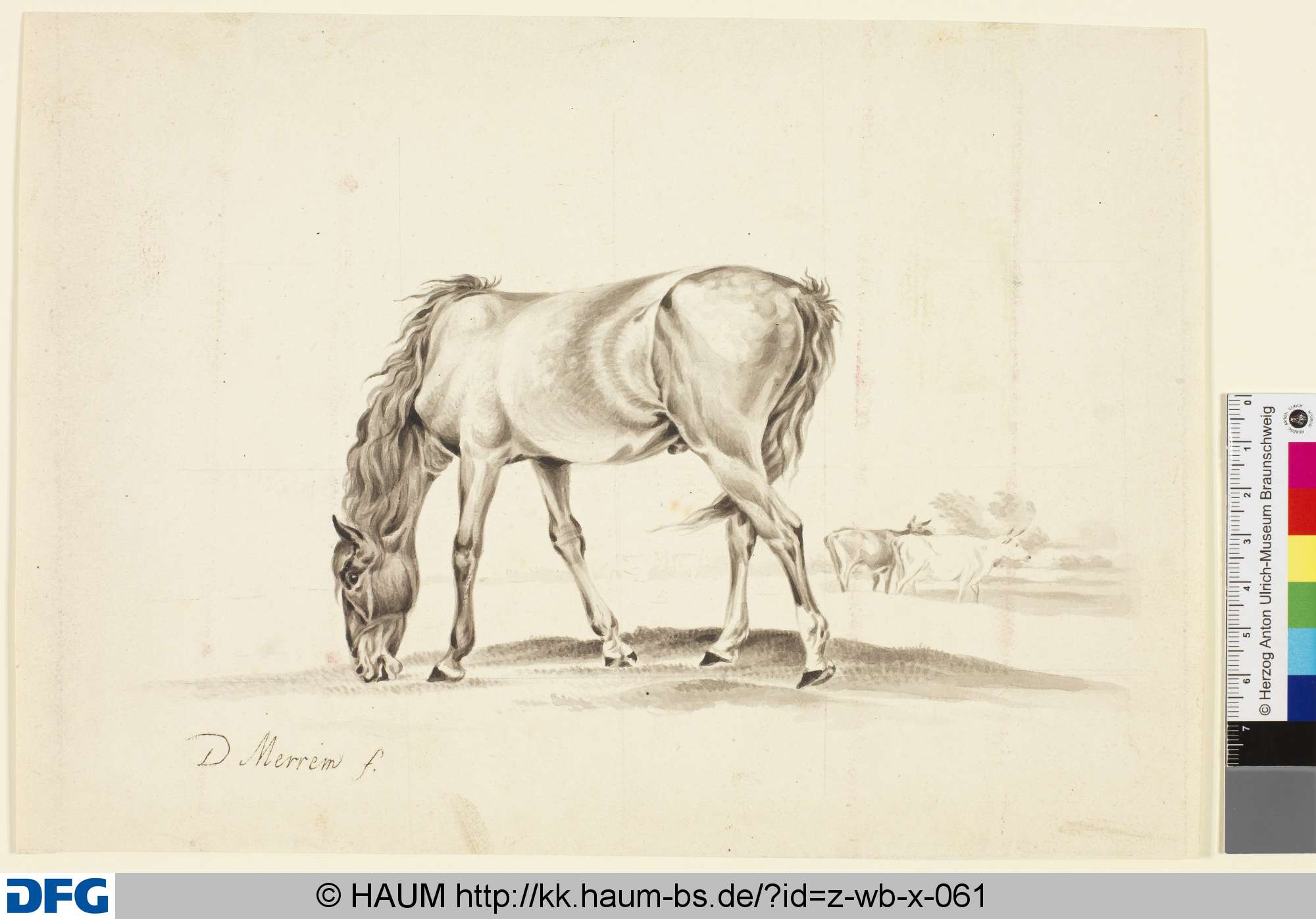 Ein weidendes Pferd, D. Merrem