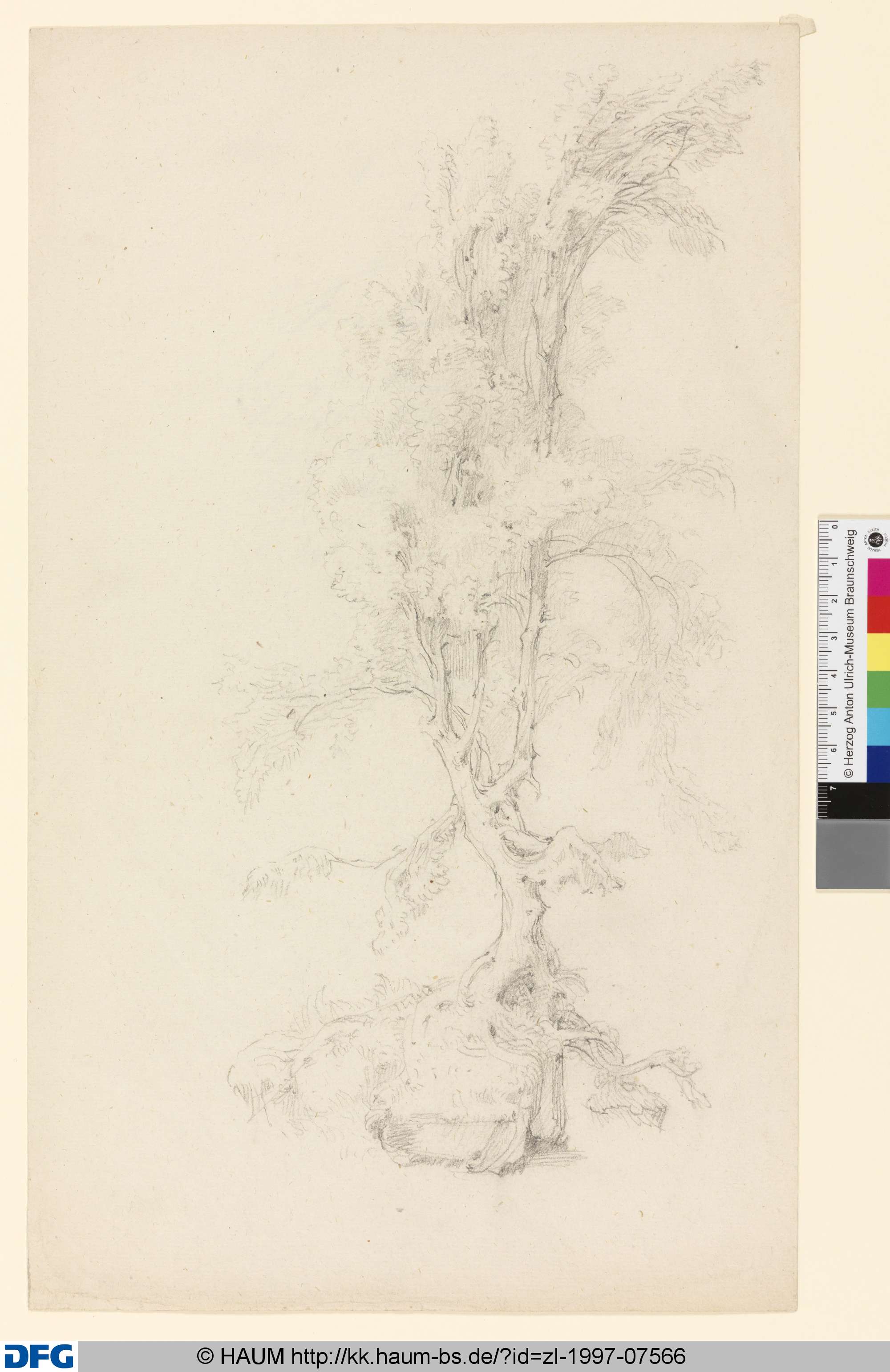 Baumstudie, Johann Georg Hiltensperger, 1826–1890