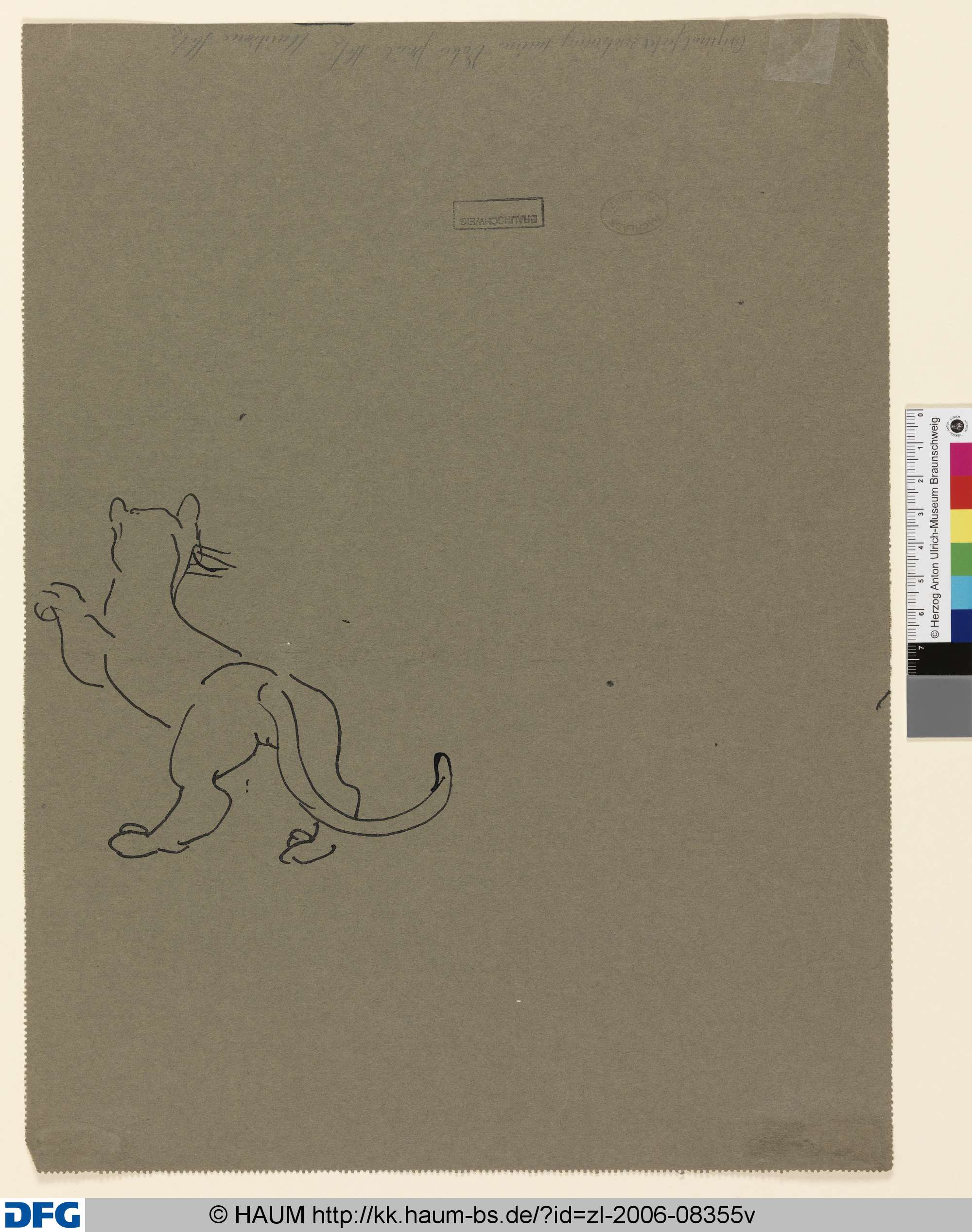 Skizze eines Panthers, Paul Holz, 1903–1938