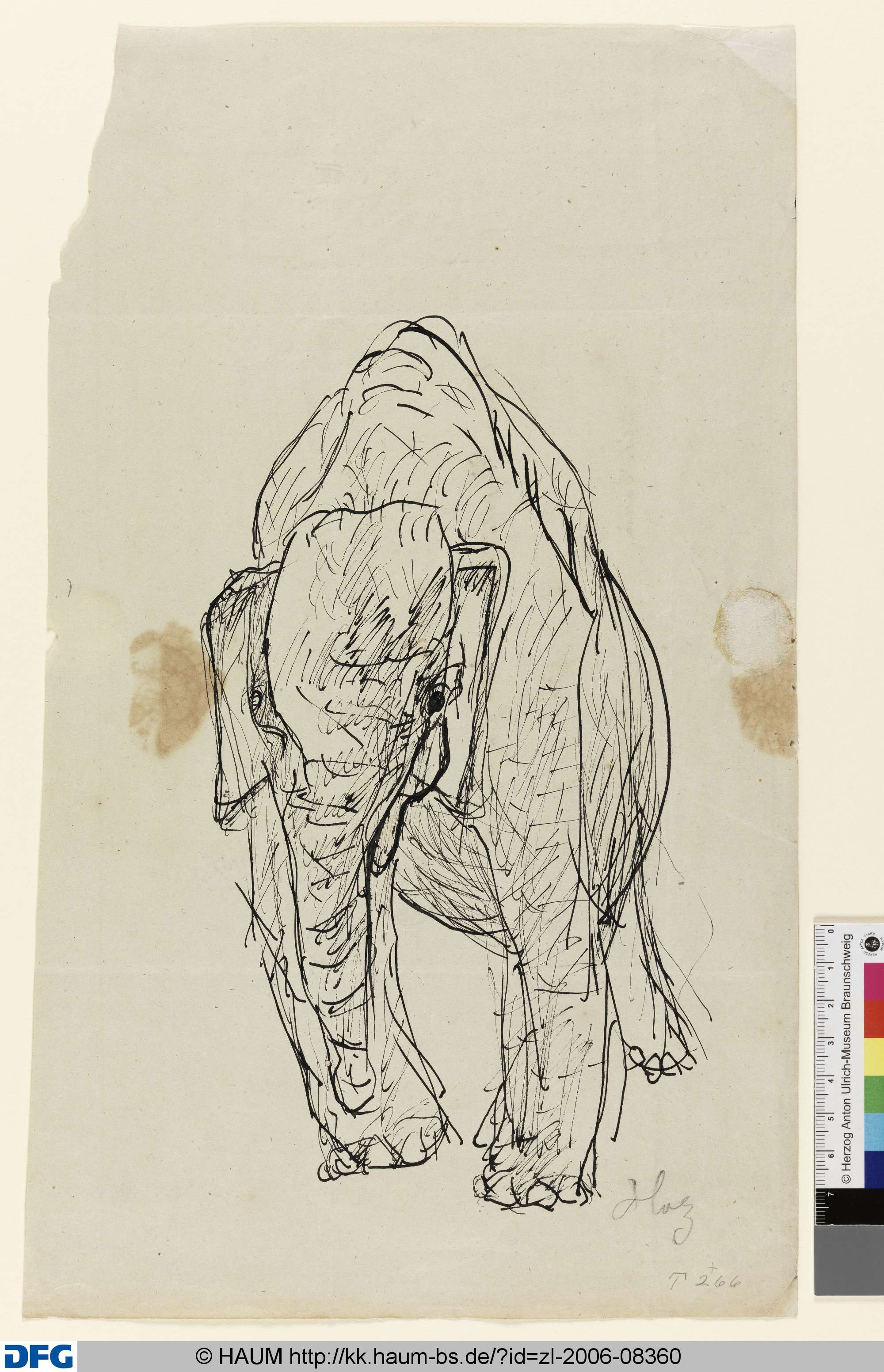 Elefant, Paul Holz, 1903–1938