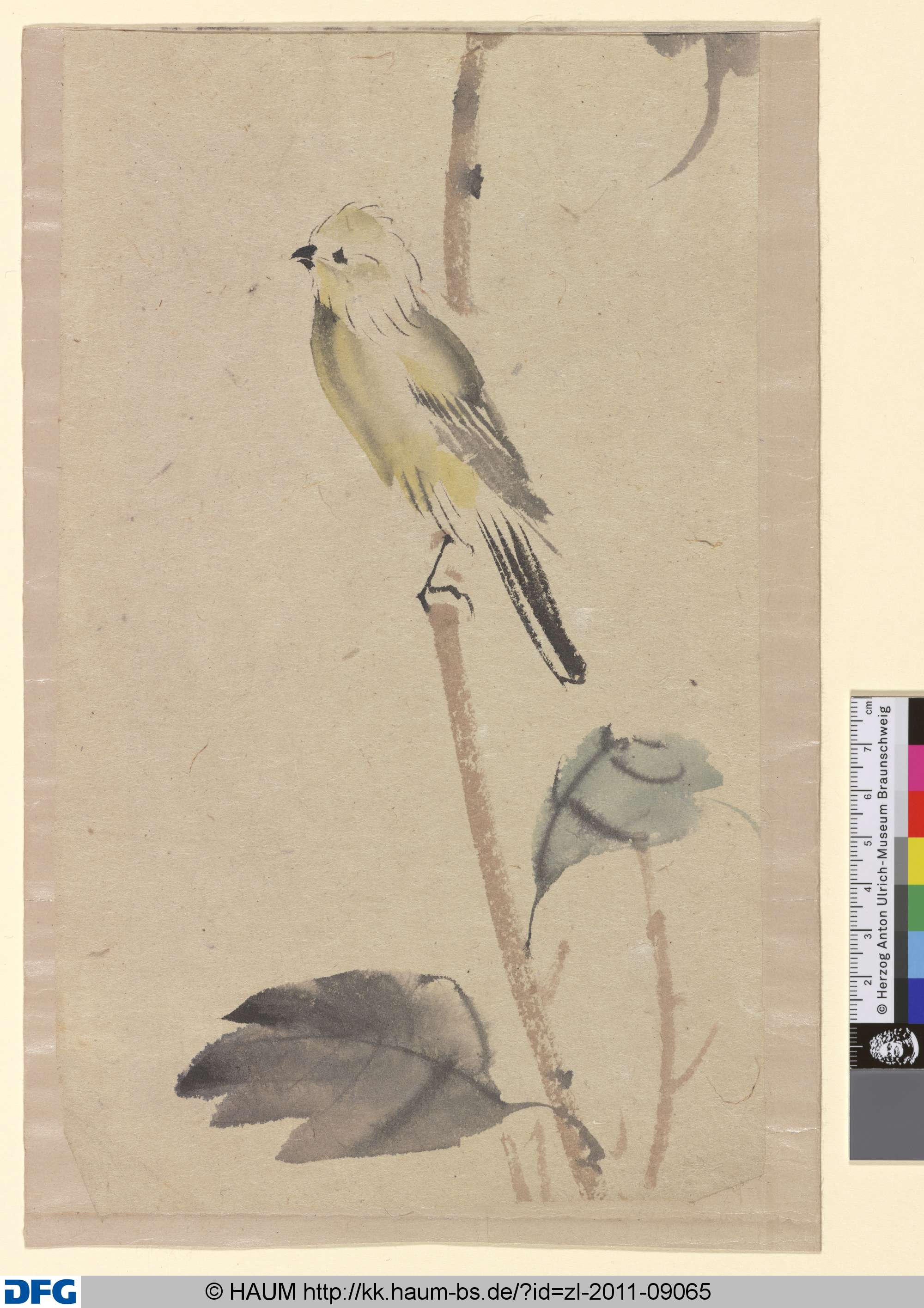 Kleiner Vogel, 19th century