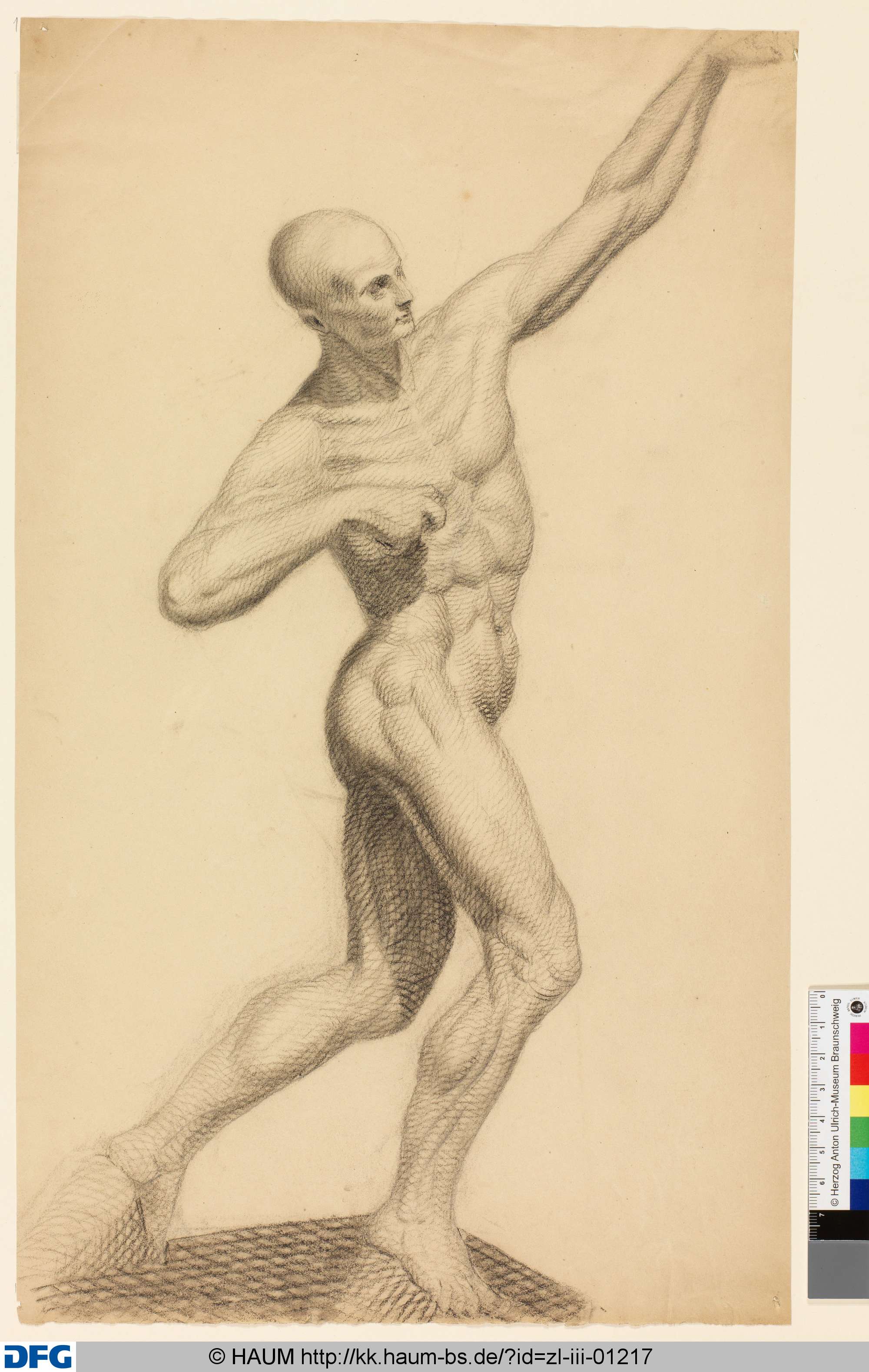 Aktstudie eines Athlethen (Diskuswerfer?), Friedrich Knolle, 1827–1877