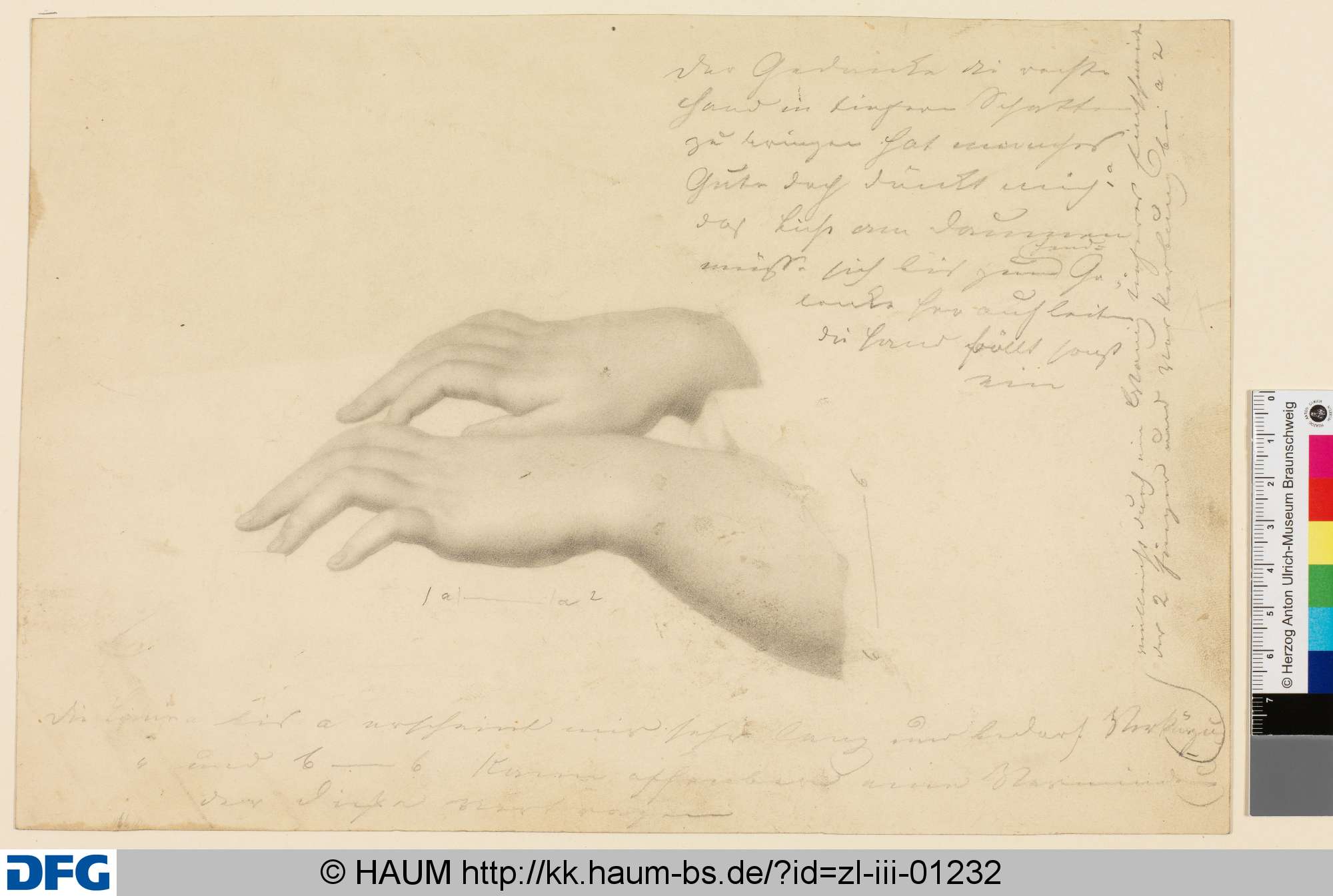 Studienblatt mit zwei Händen, Friedrich Knolle, 1827–1877