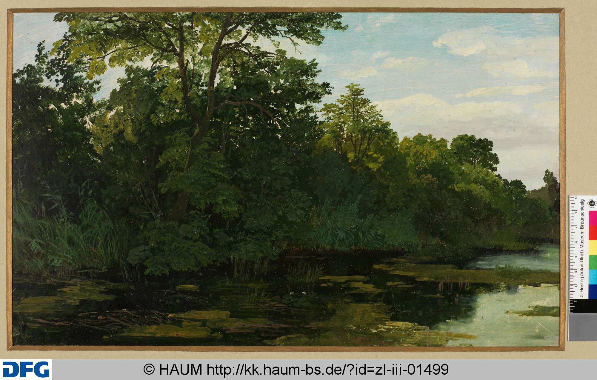 Riddagshäuser Teich, Heinrich Brandes