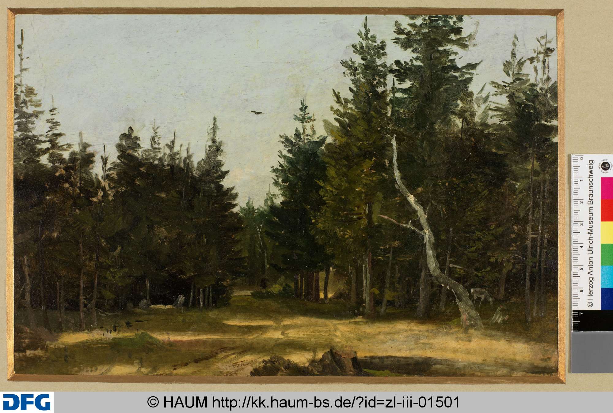 Bei Halberstadt, Heinrich Brandes, 1843–1873