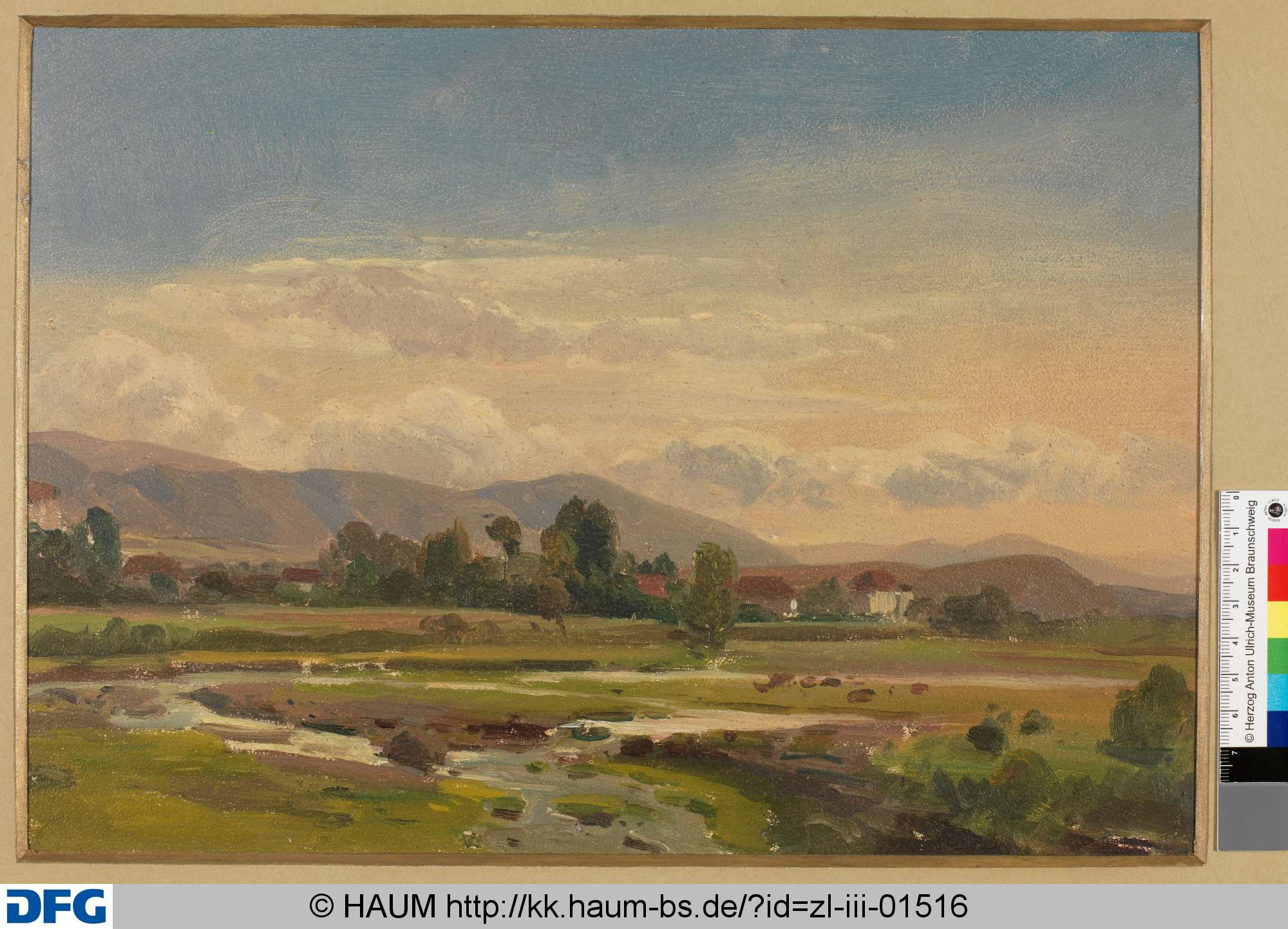 Thale, Heinrich Brandes, 1843–1873