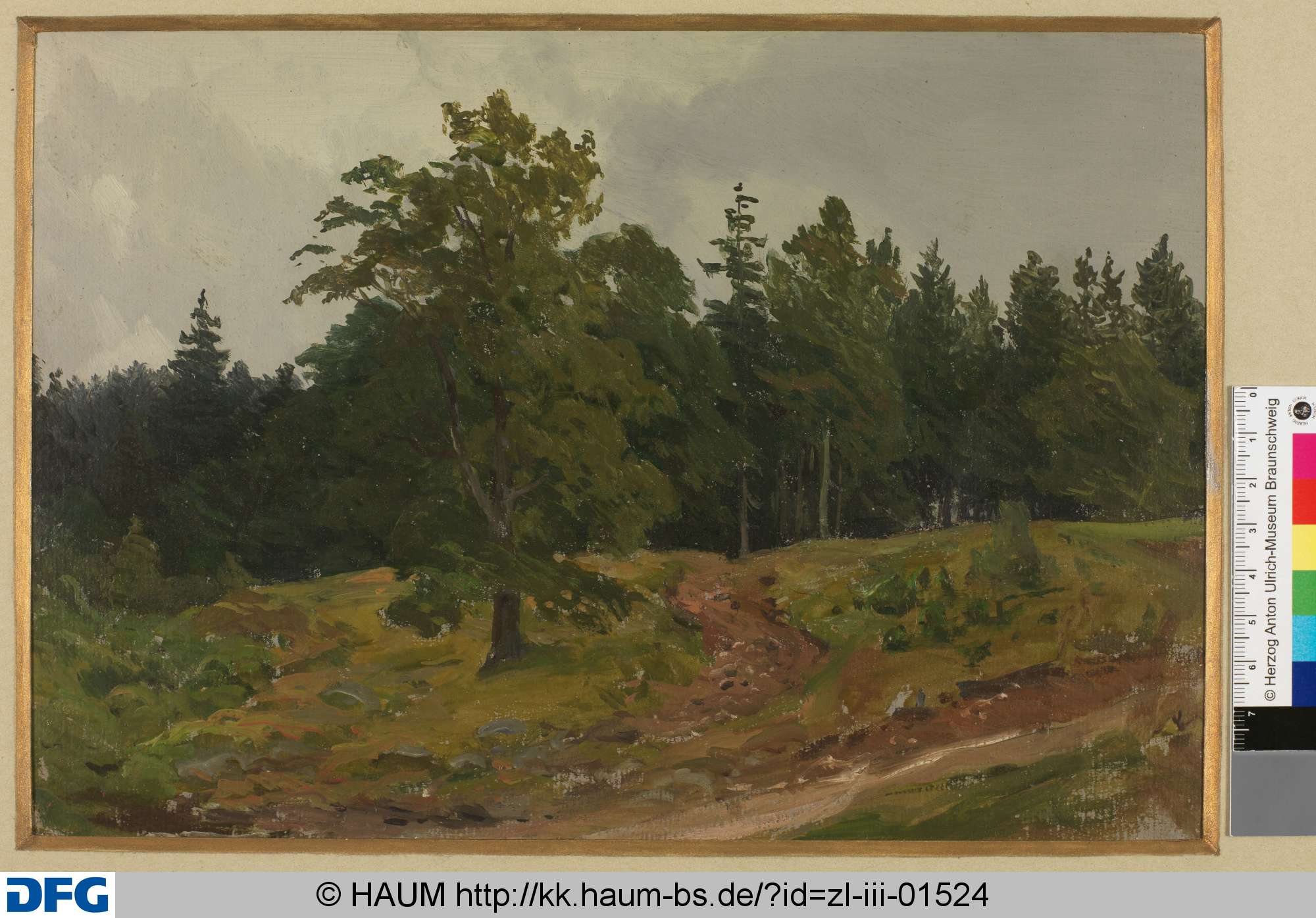 Bei Harzburg, Heinrich Brandes, 1843–1873
