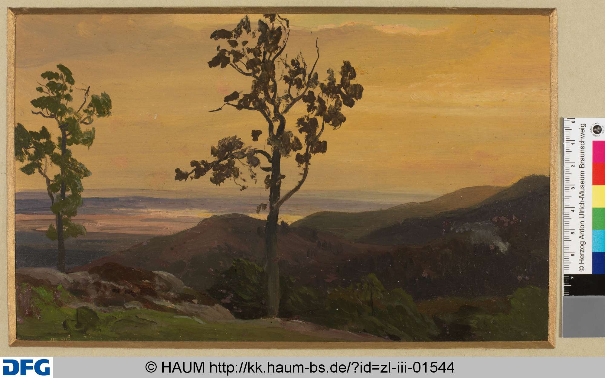 Studie, Heinrich Brandes, 1843–1873