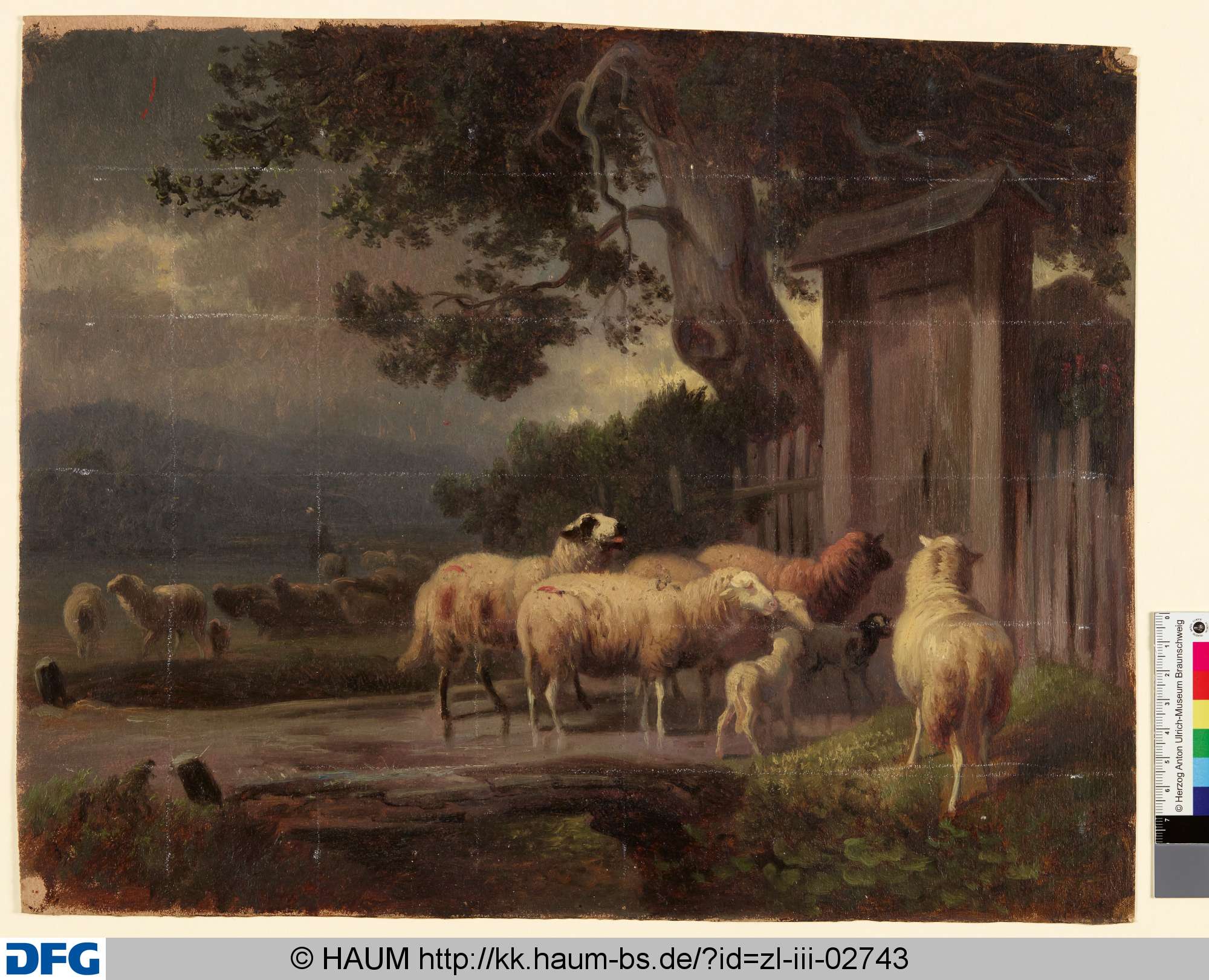 Schafsherde an einem Zaun, Adolf Nickol, 1844–1905