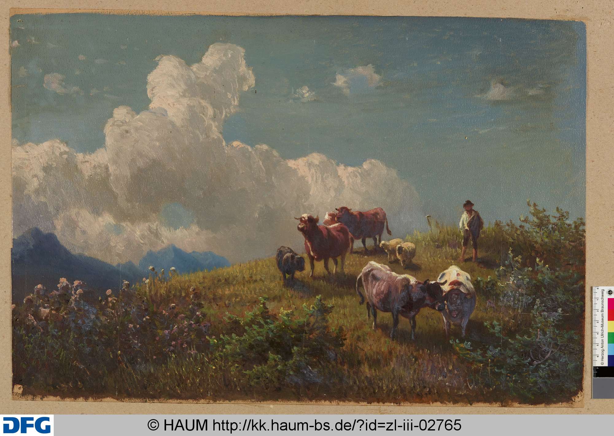 Rinder und Schafe auf einer Weide, Adolf Nickol, 1844–1905