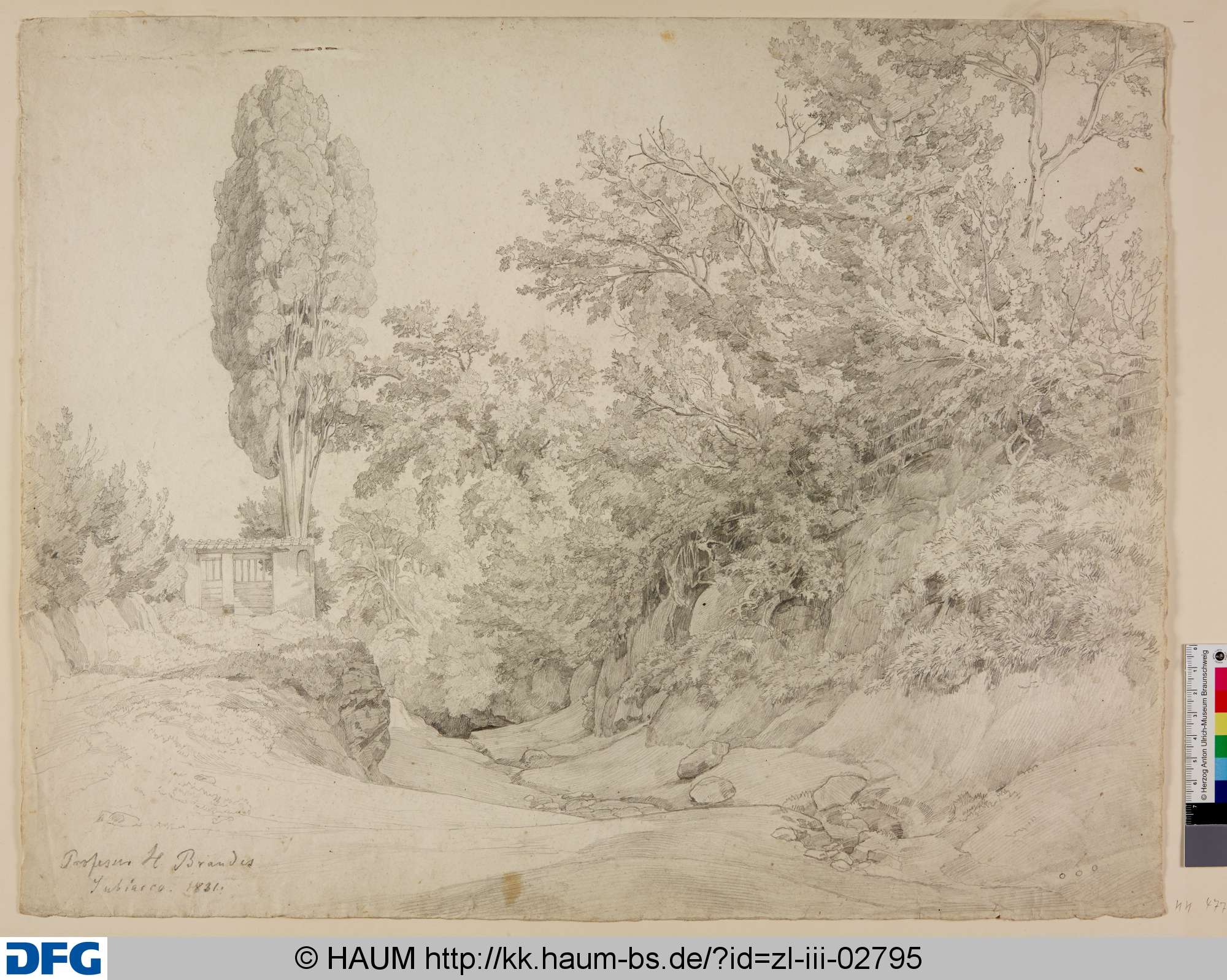 Hohlweg bei Subiaco, Heinrich Brandes, 1831