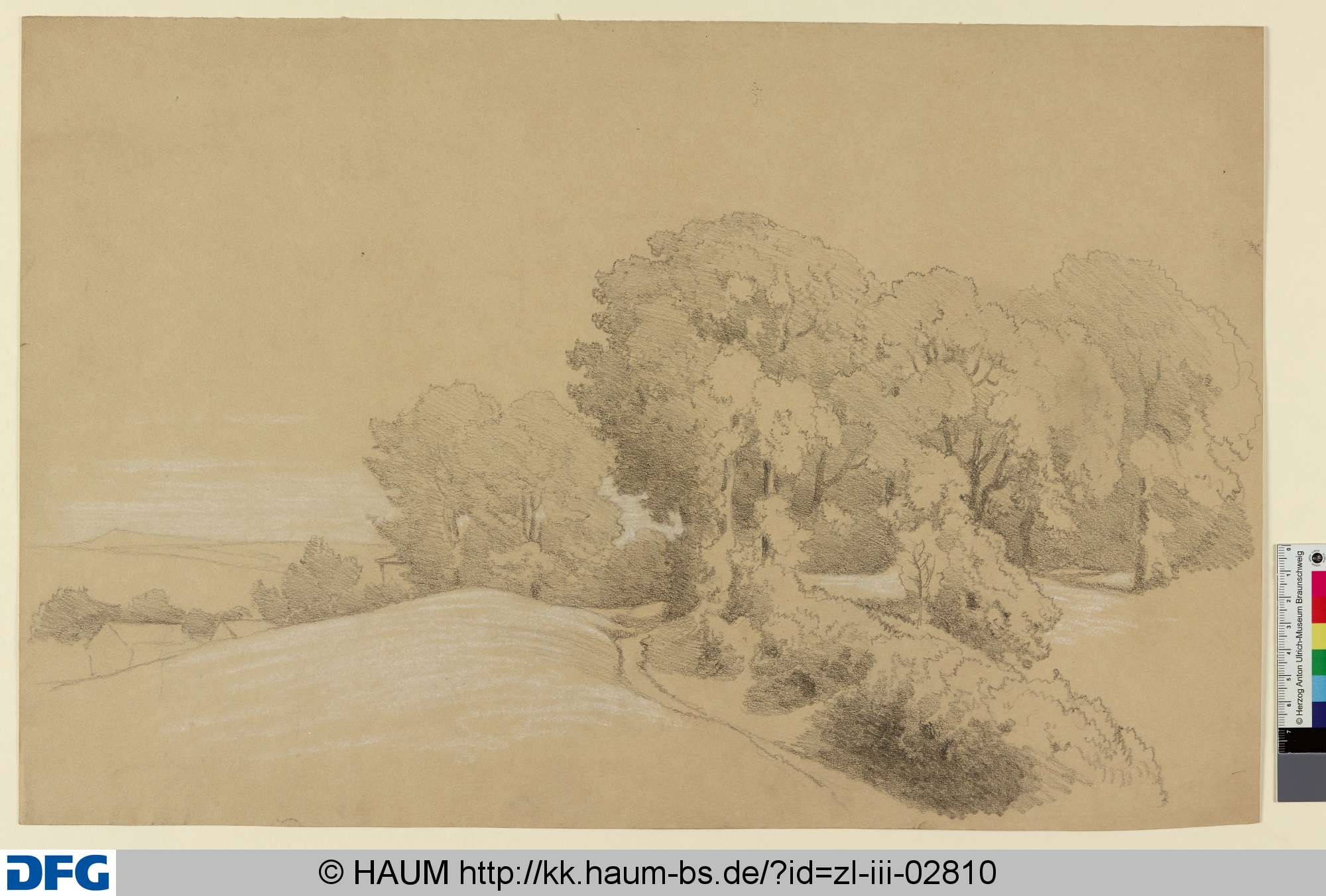 Landschaft mit Bäumen, Adolf Nickol