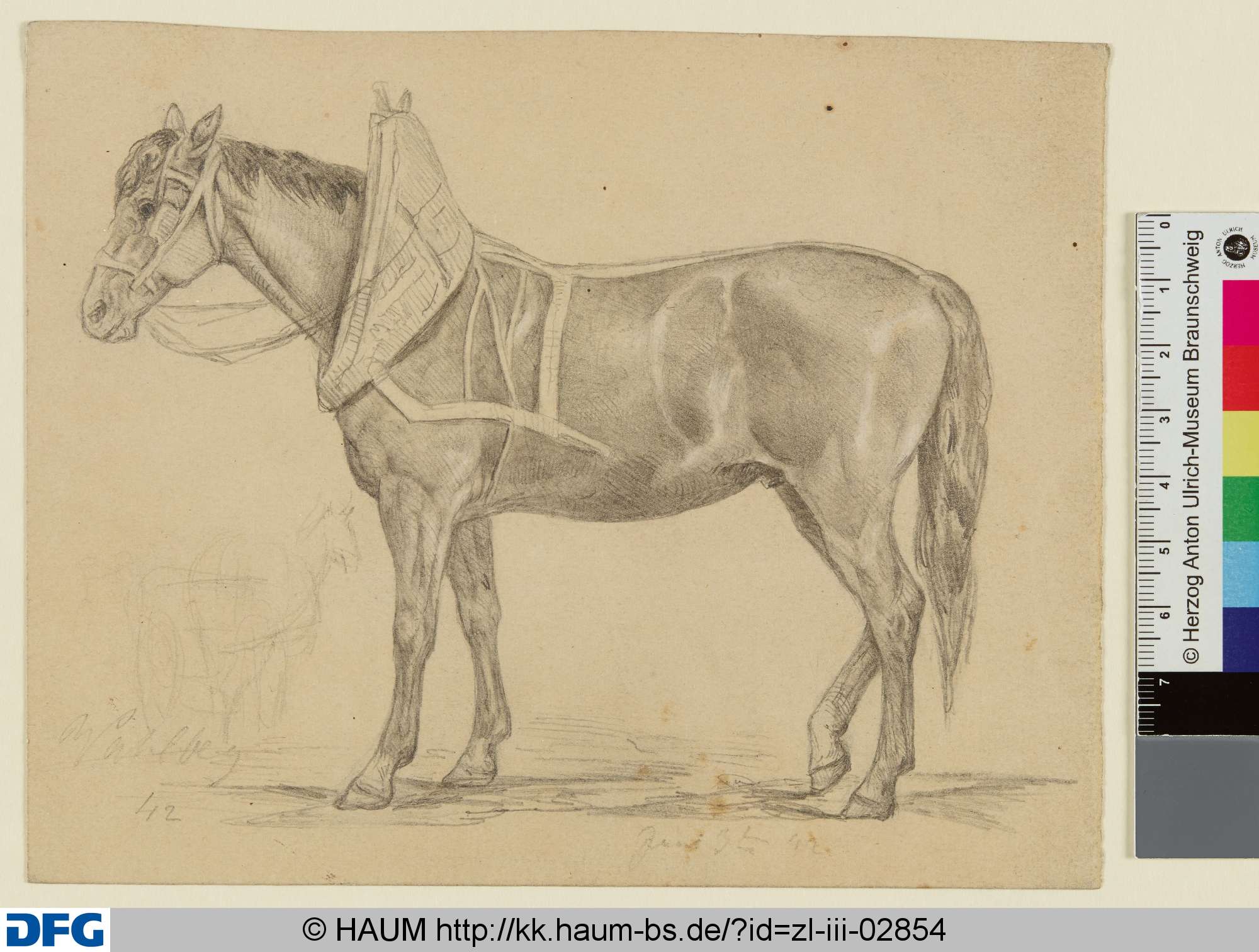 Stehendes Pferd von der Seite, Adolf Nickol, 1844–1905