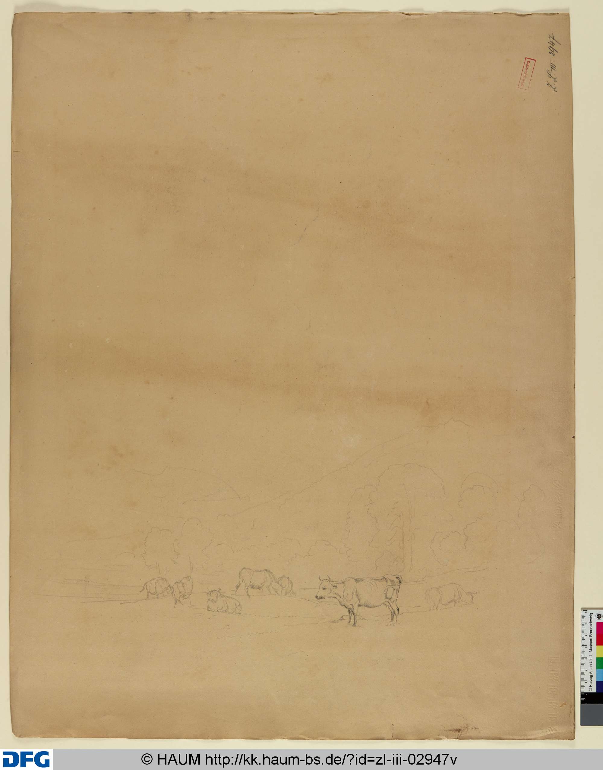 Rinder auf einer Weide, Adolf Nickol, 1844–1905