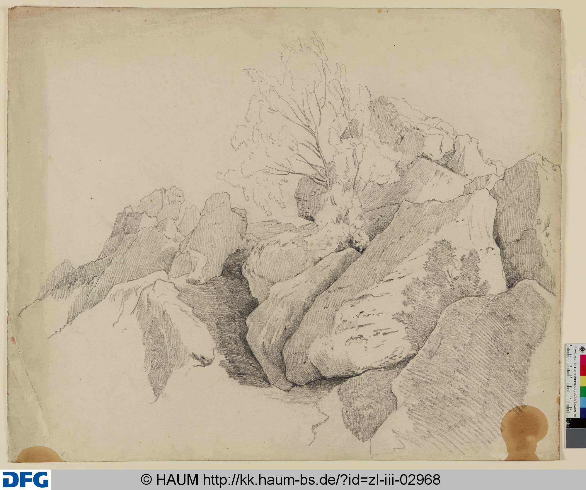 Felsen mit einem Baum, Adolf Nickol, 1844–1905