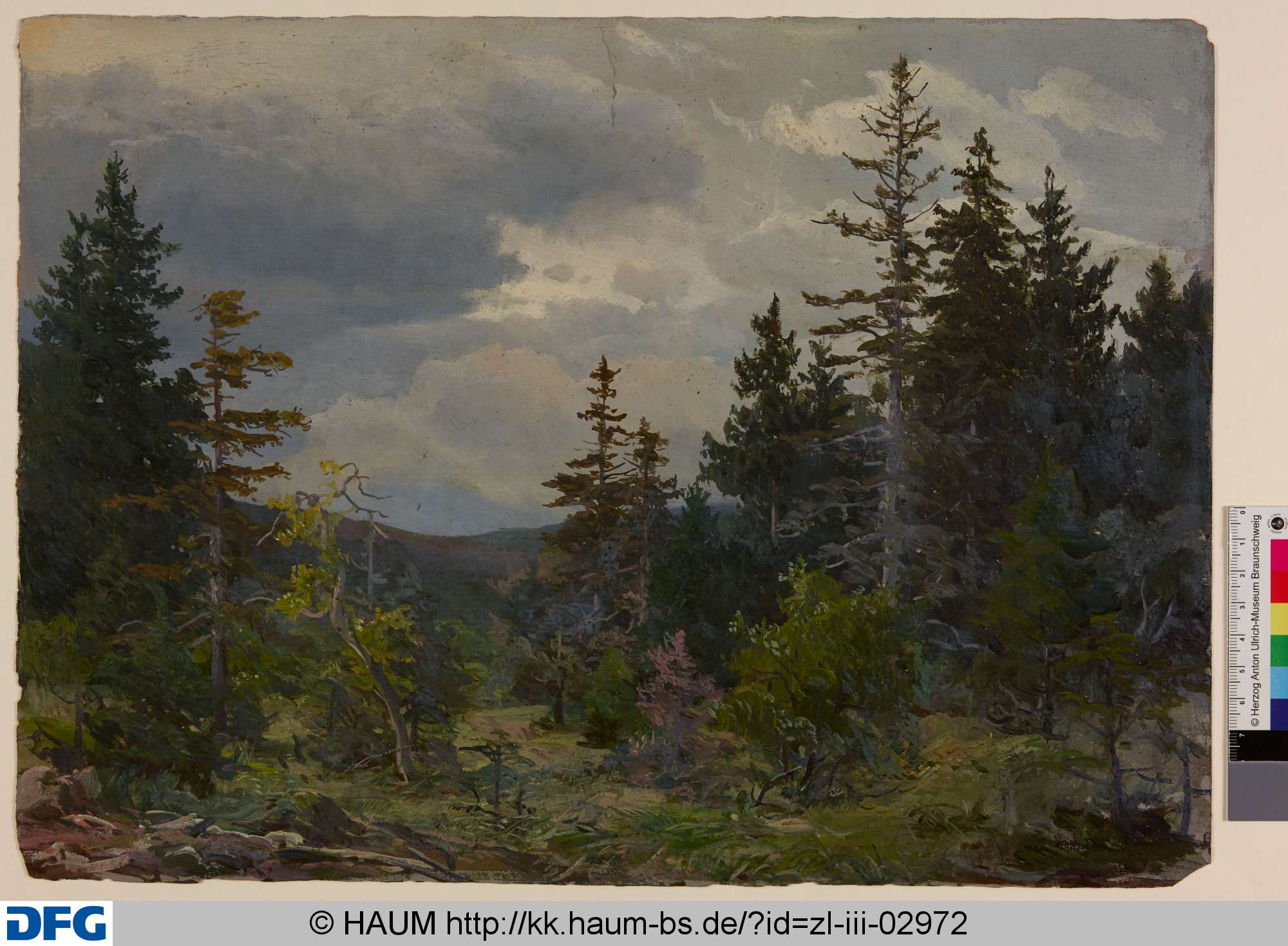 Waldlandschaft, Adolf Nickol, 1844–1905