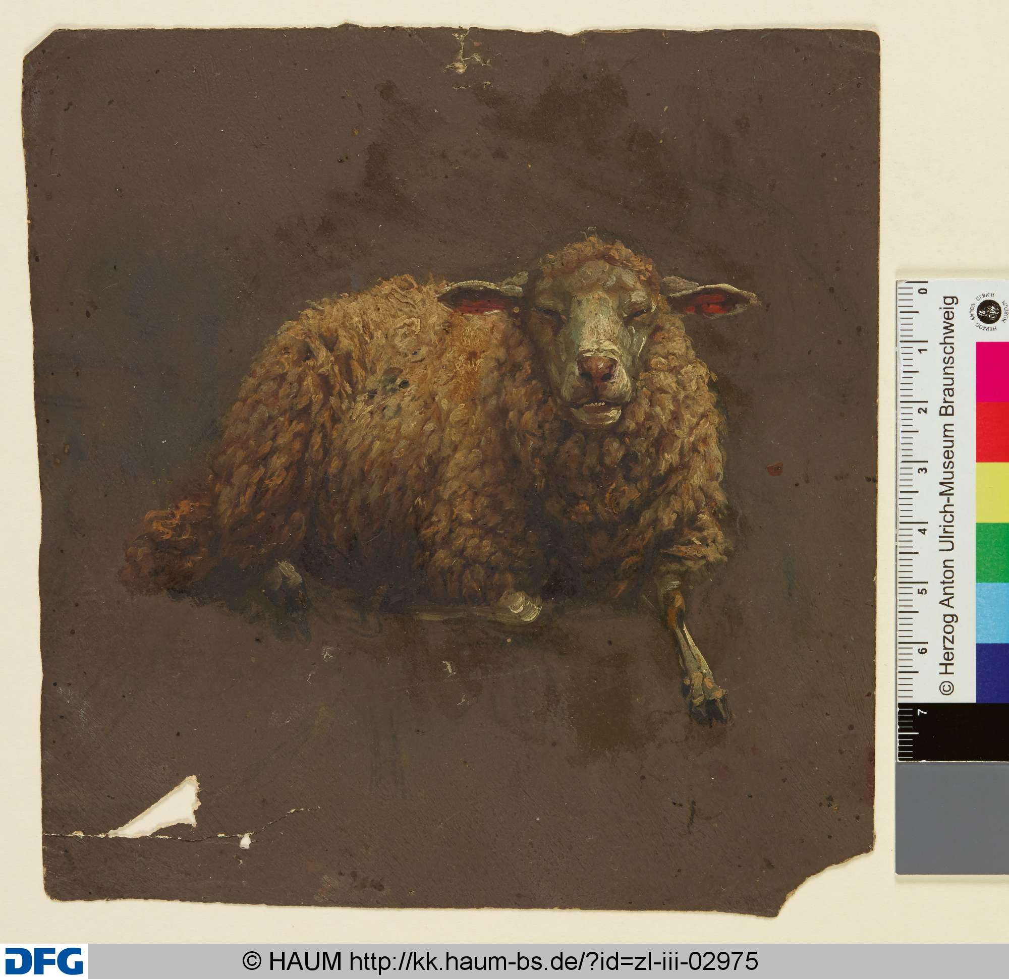 Liegendes Schaf, Adolf Nickol, 1844–1905