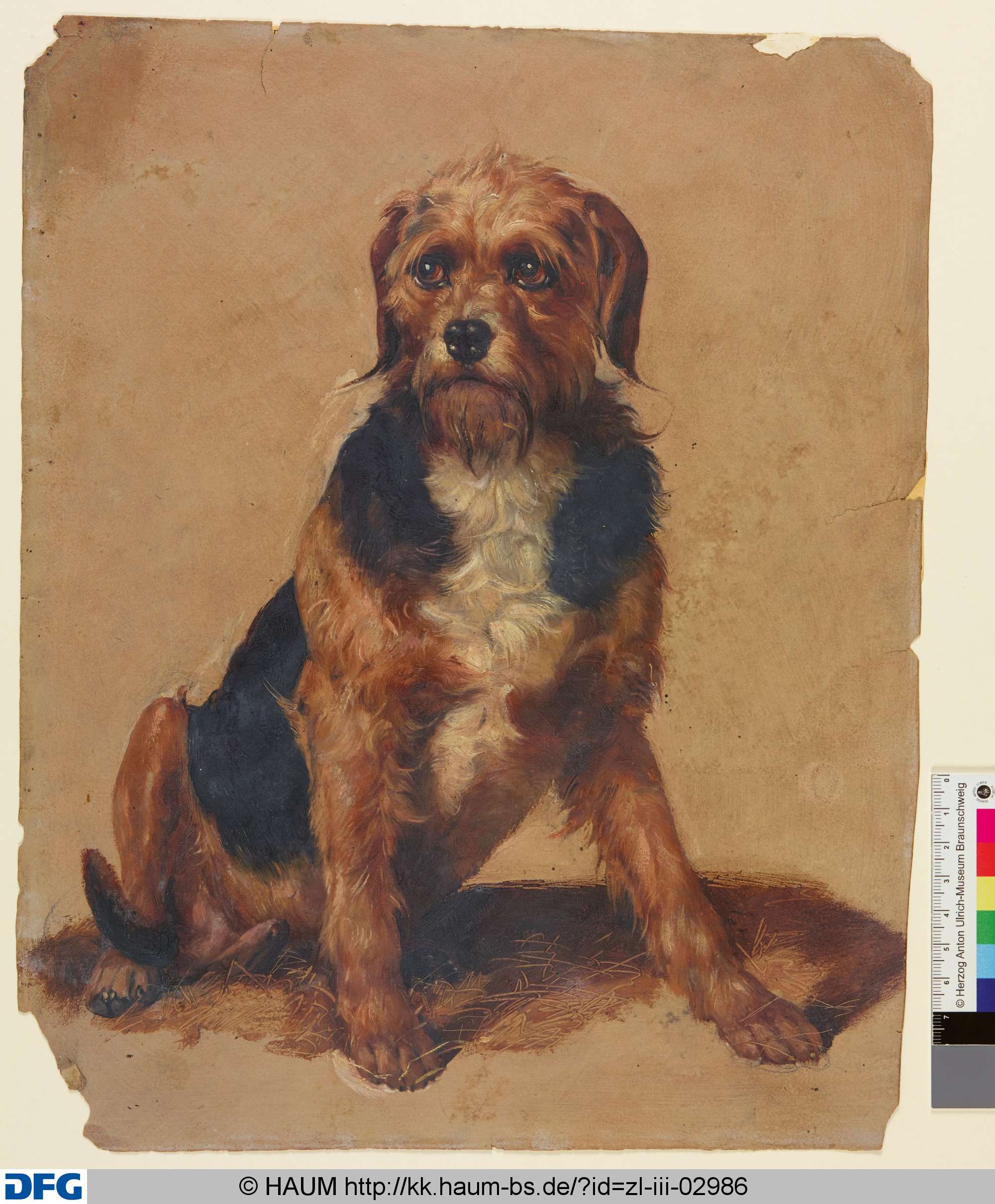 Sitzender Hund, Adolf Nickol, 1844–1905