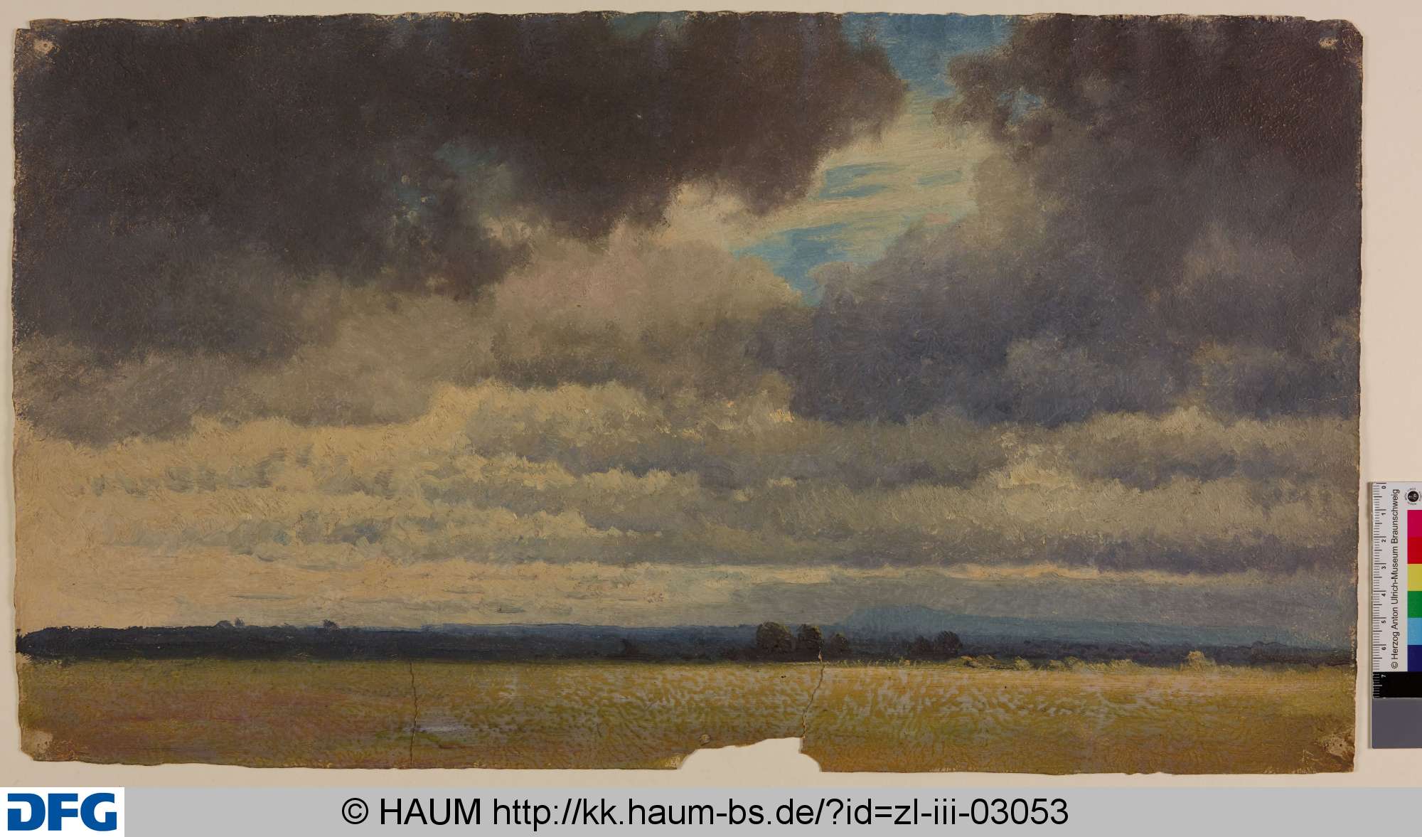 Wiesenlandschaft, Adolf Nickol, 1844–1905