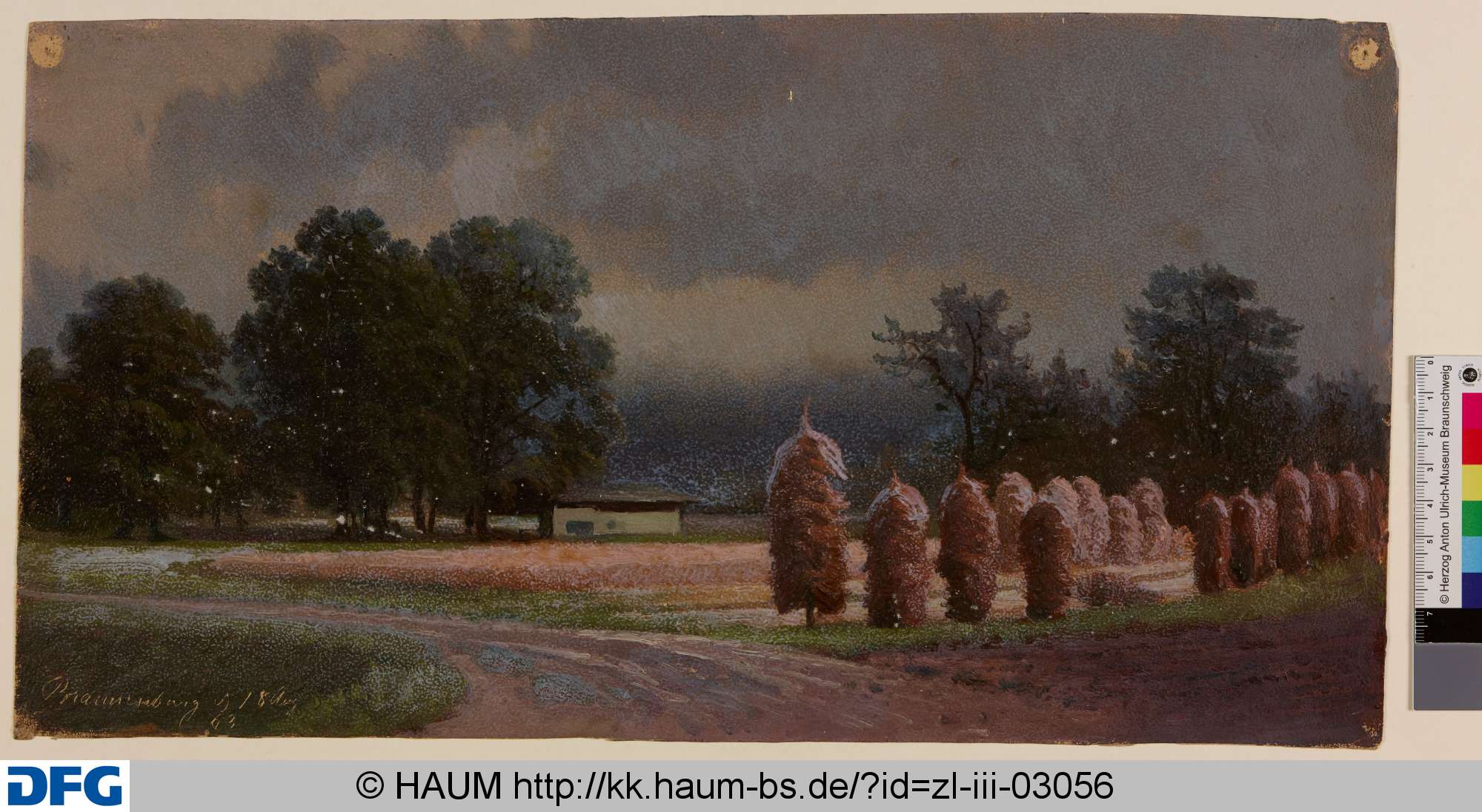 Feld bei Brannenburg, Adolf Nickol, 1863