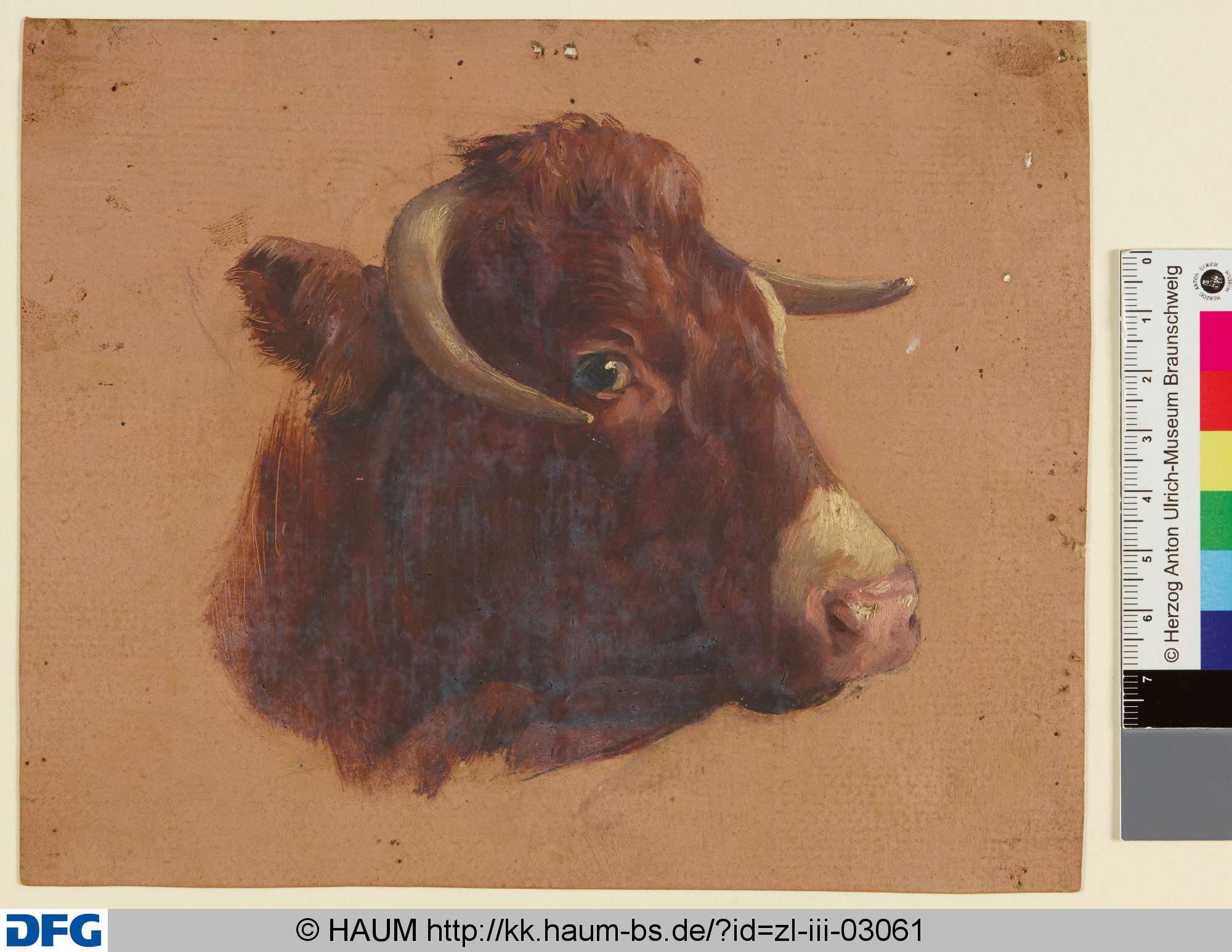 Rinderkopf, Adolf Nickol, 1844–1905