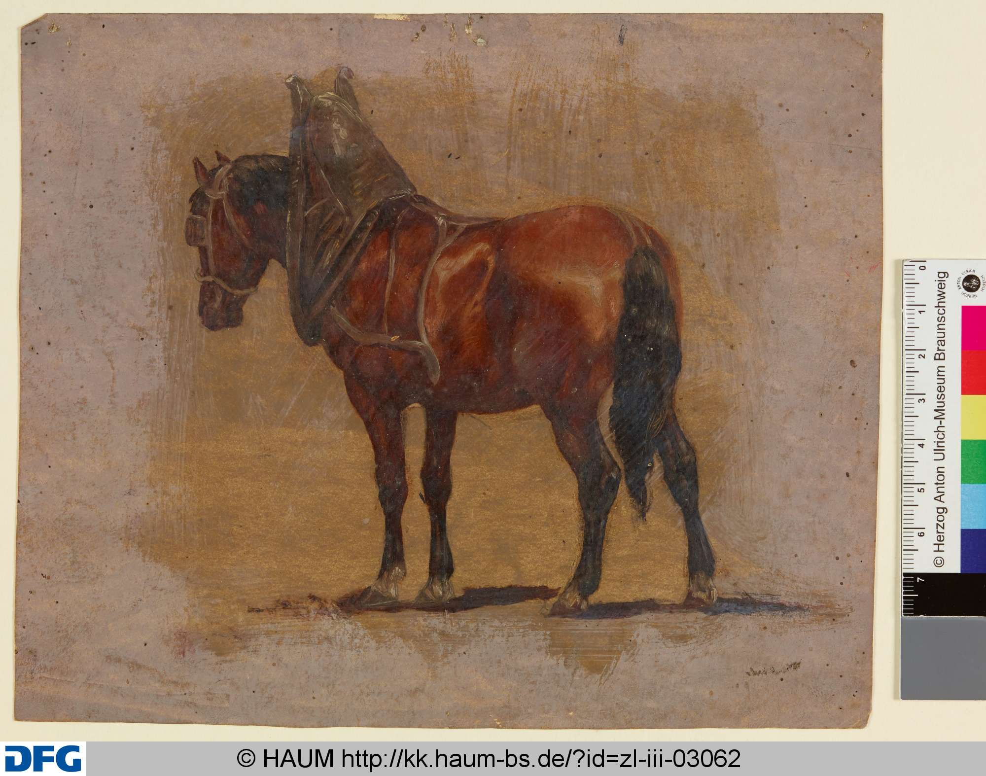 Pferd von hinten mit einem Teil einer Rüstung, Adolf Nickol, 1844–1905