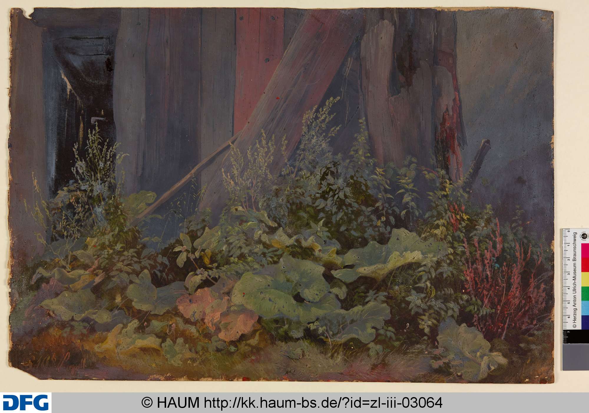 Pflanzen an einer Holzwand, Adolf Nickol, 1844–1905