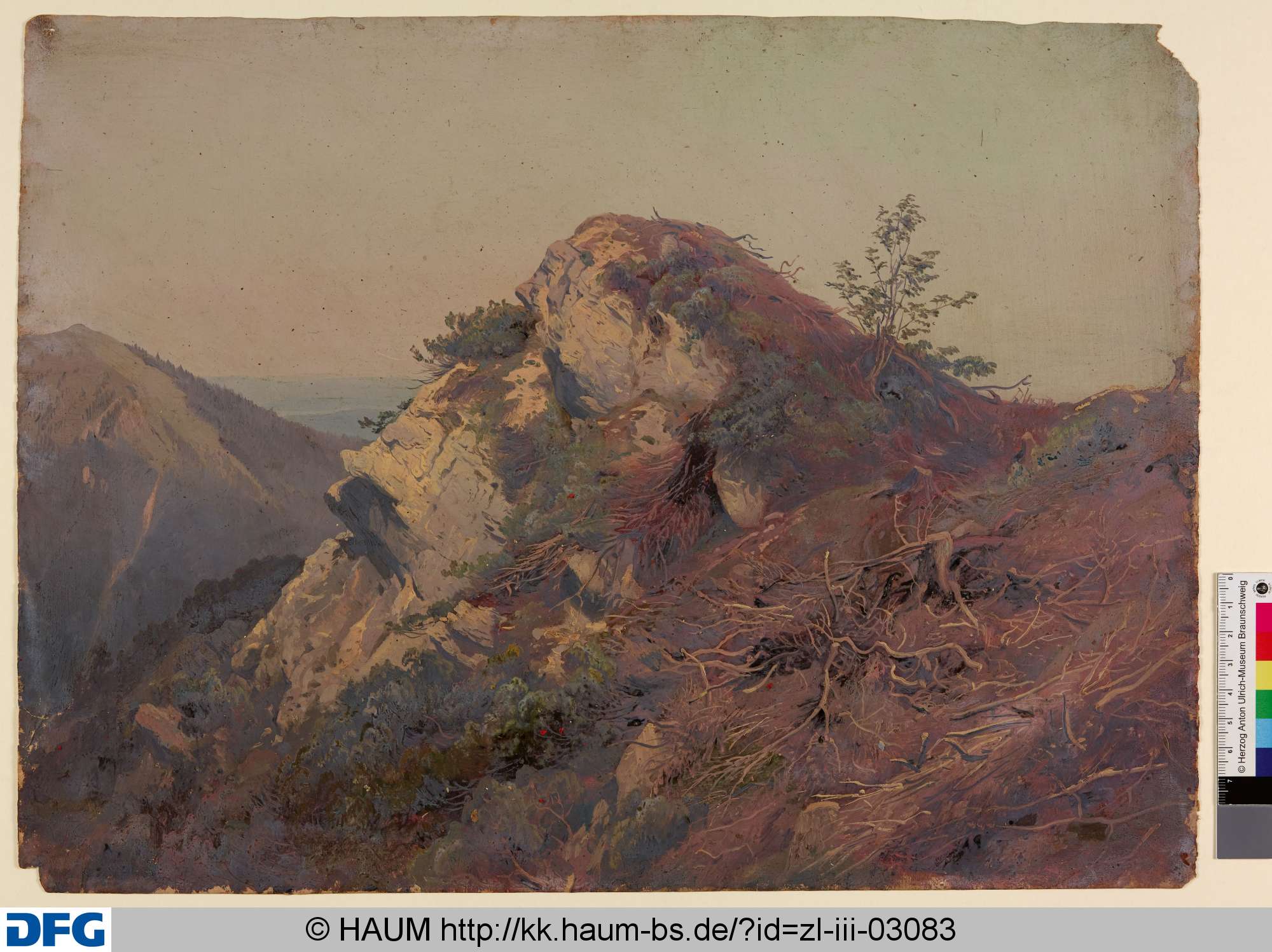 Bewachsener Hügel, Adolf Nickol, 1844–1905