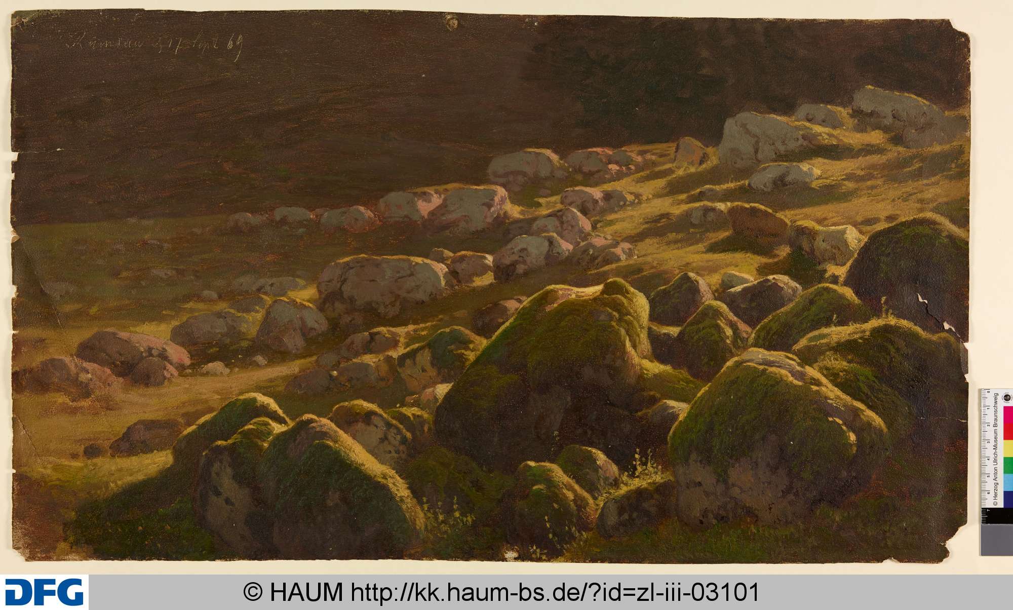 Landschaft mit Moosbewachsenen Steinen, Adolf Nickol, 1869