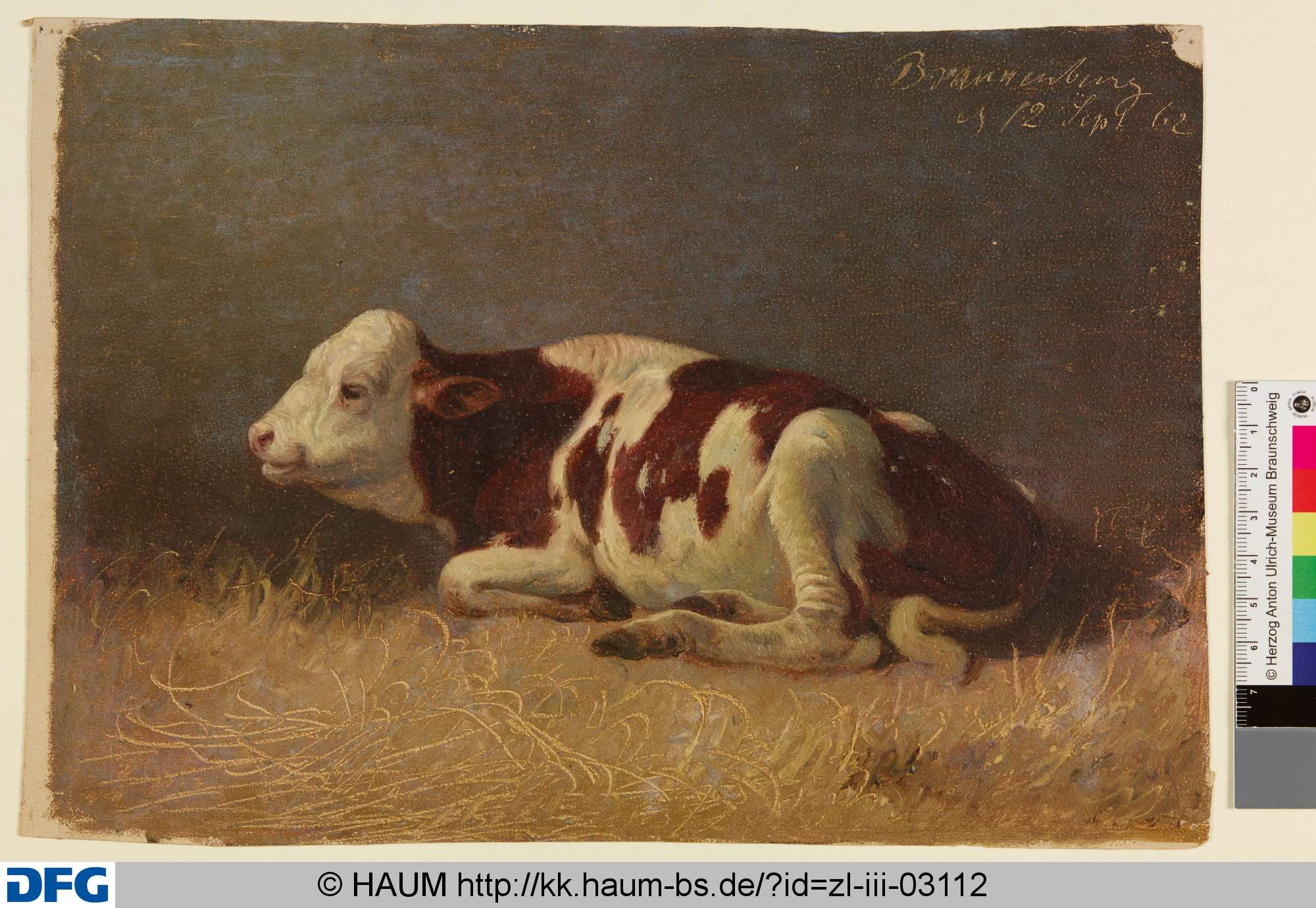 Liegendes Kalb, Adolf Nickol, 1862