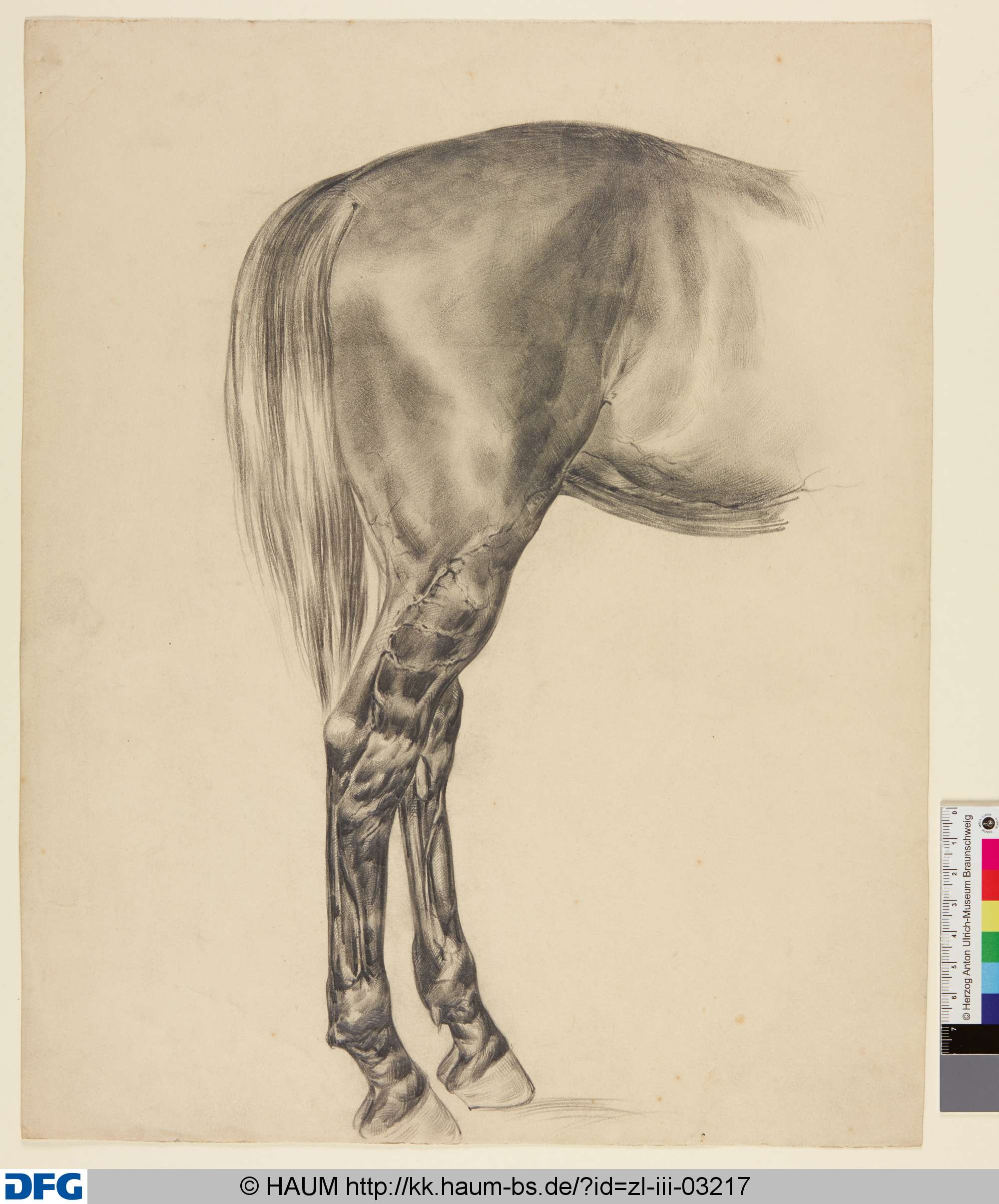 Studie zu einem Pferd, Christian Tunica, 1815–1868