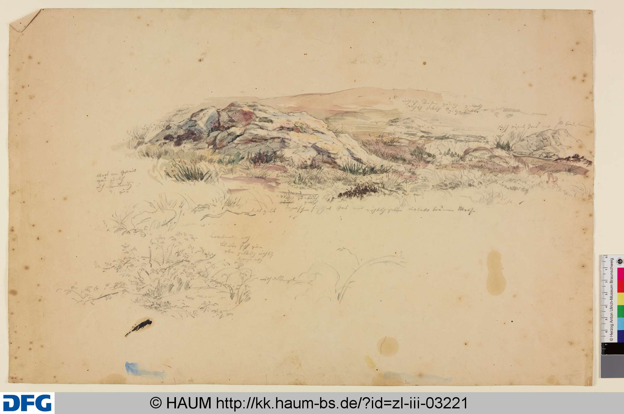 Landschaft mit Felsen und Pflanzen, Christian Tunica, 1815–1868