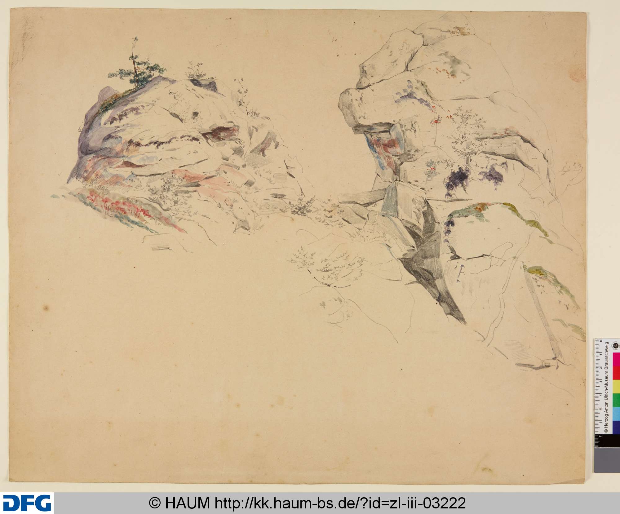 Felsen mit Pflanzen bewachsen, Christian Tunica, 1815–1868