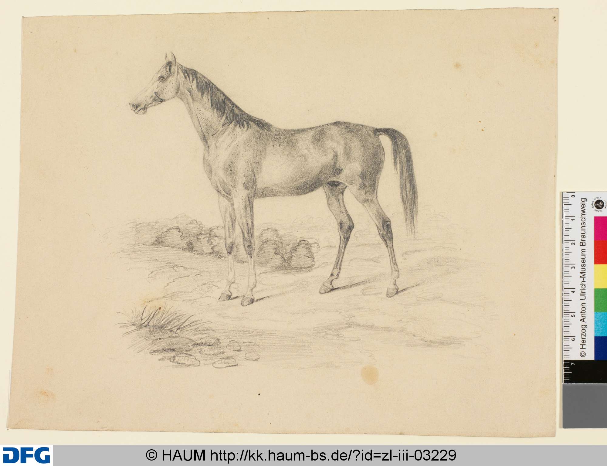 Studie eines Pferdes, Rudolph Friedrich August Henneberg, 1850–1875