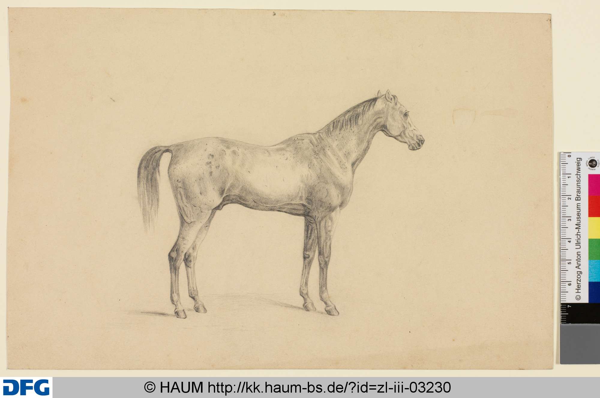 Studie eines Pferdes, Rudolph Friedrich August Henneberg, 1850–1875